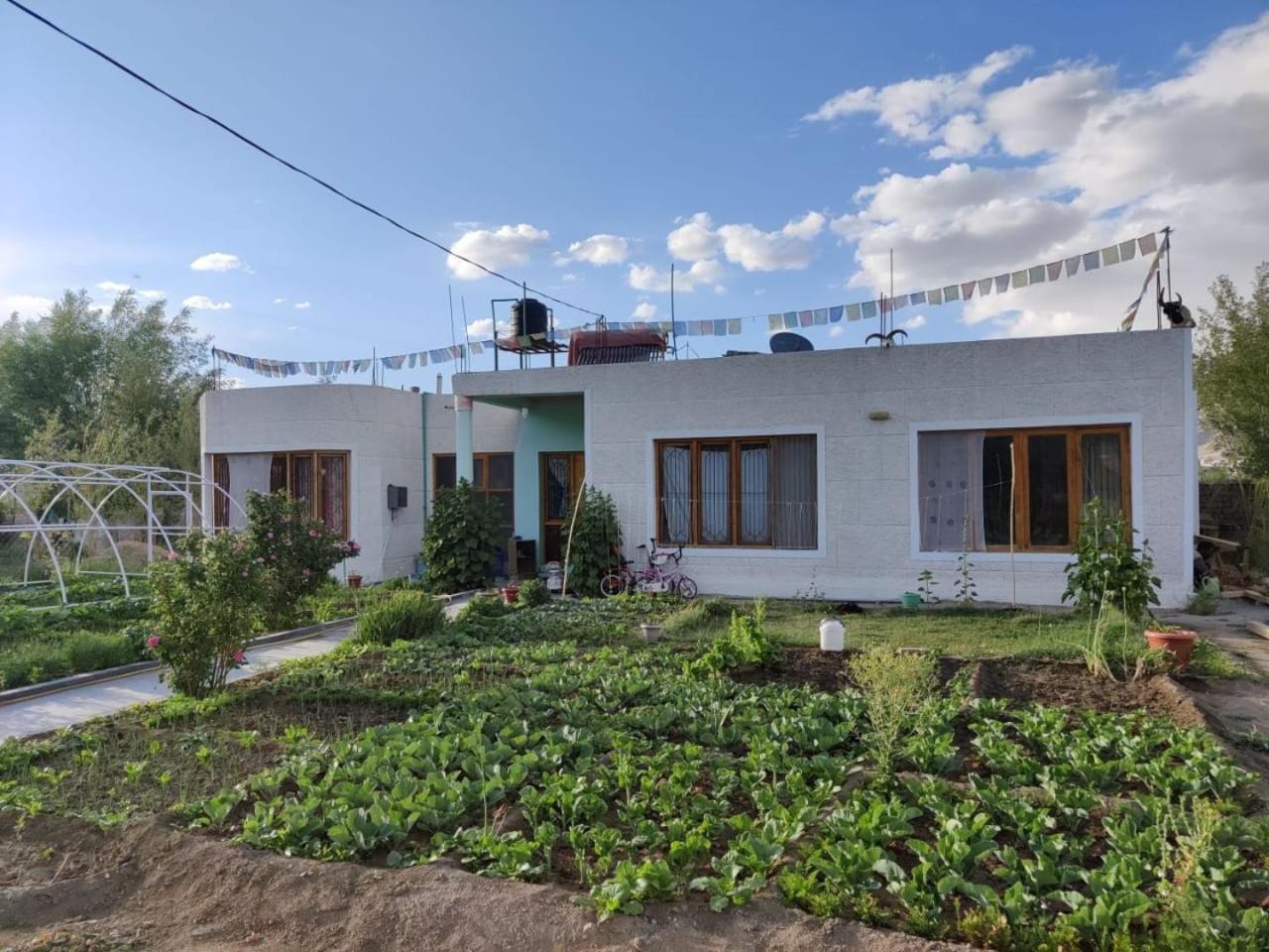 Stanzin Home Stay view 5