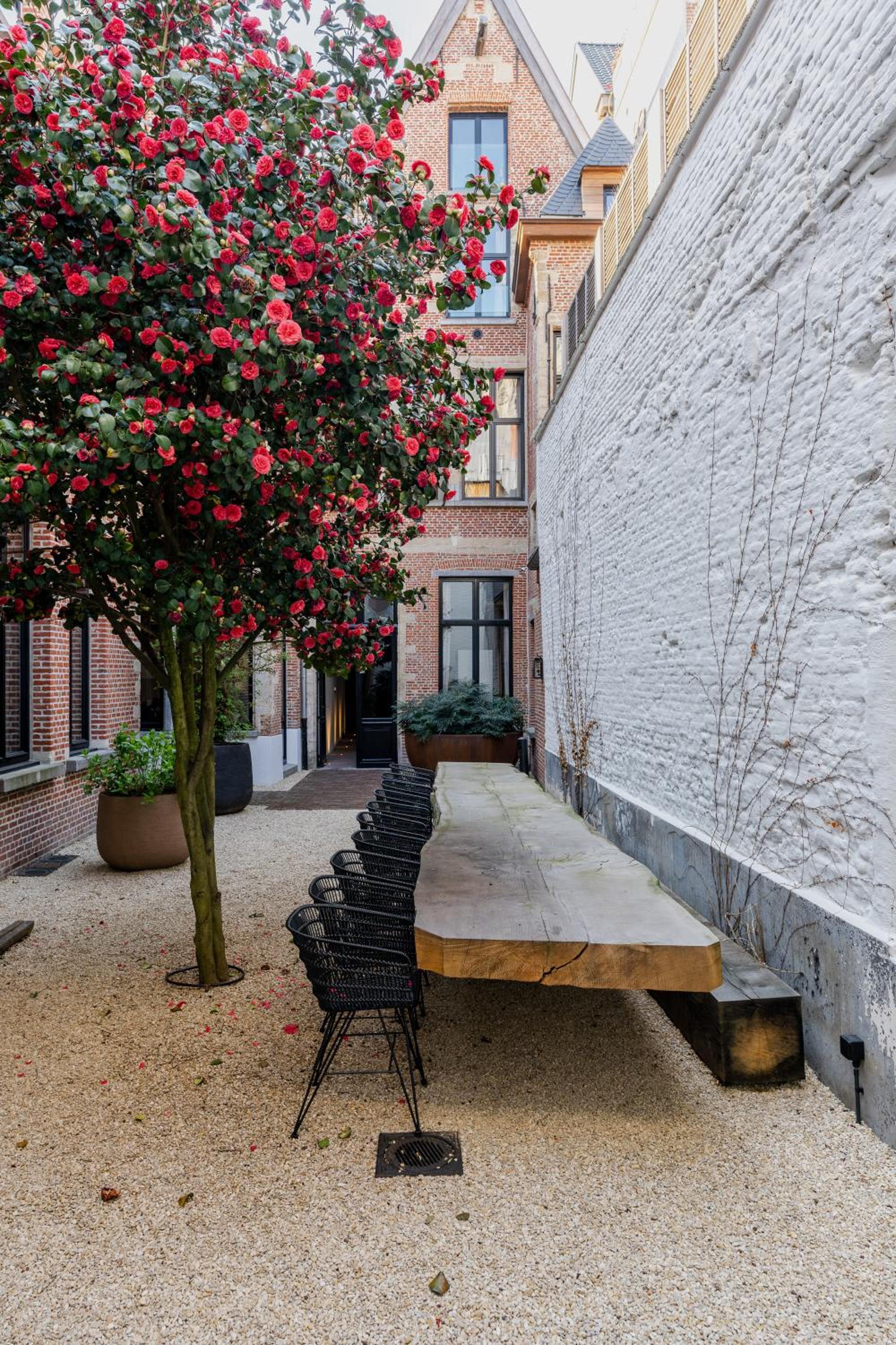 BTFL Living, Luxury Residences Antwerp, Zirkstraat