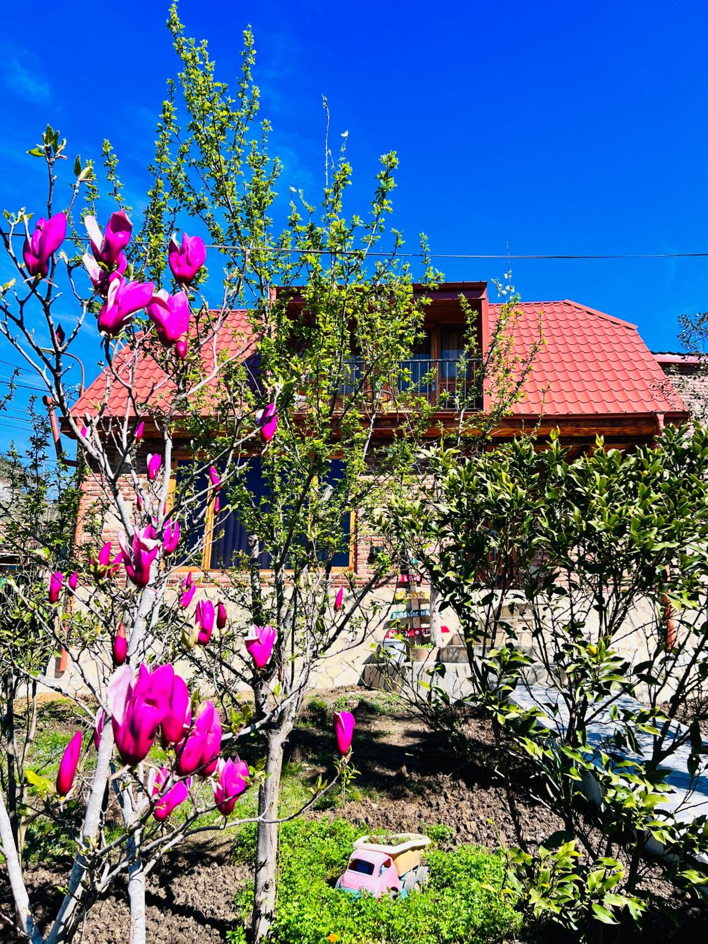Sunshine House