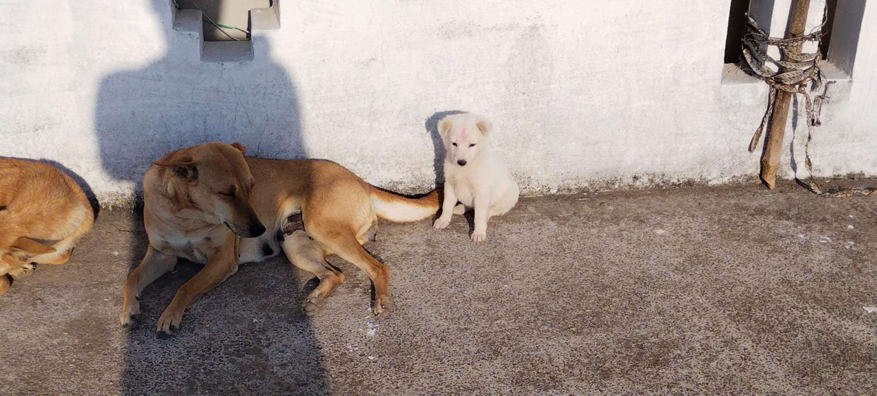 Photo 100