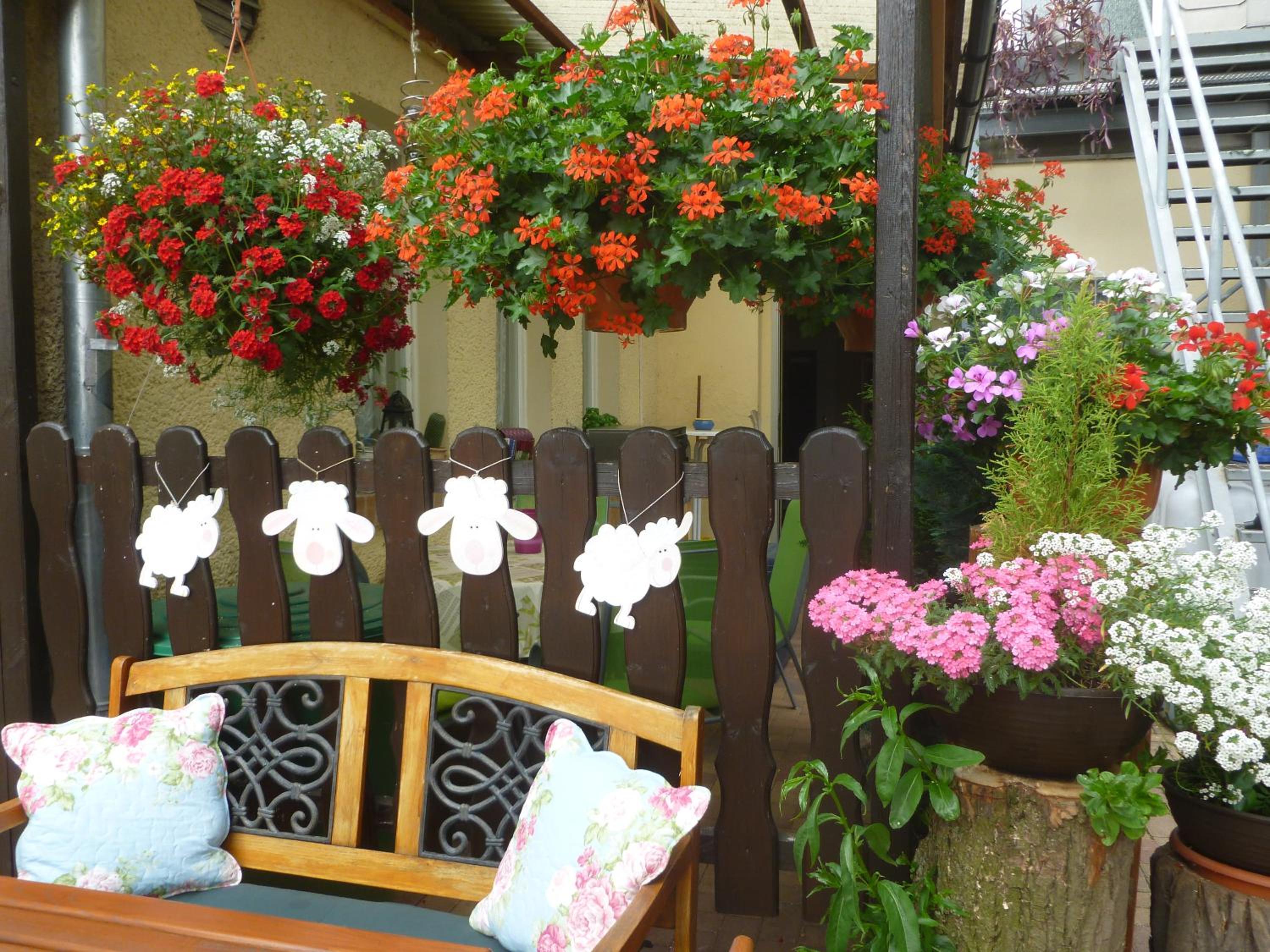 Gasthaus Forelle
