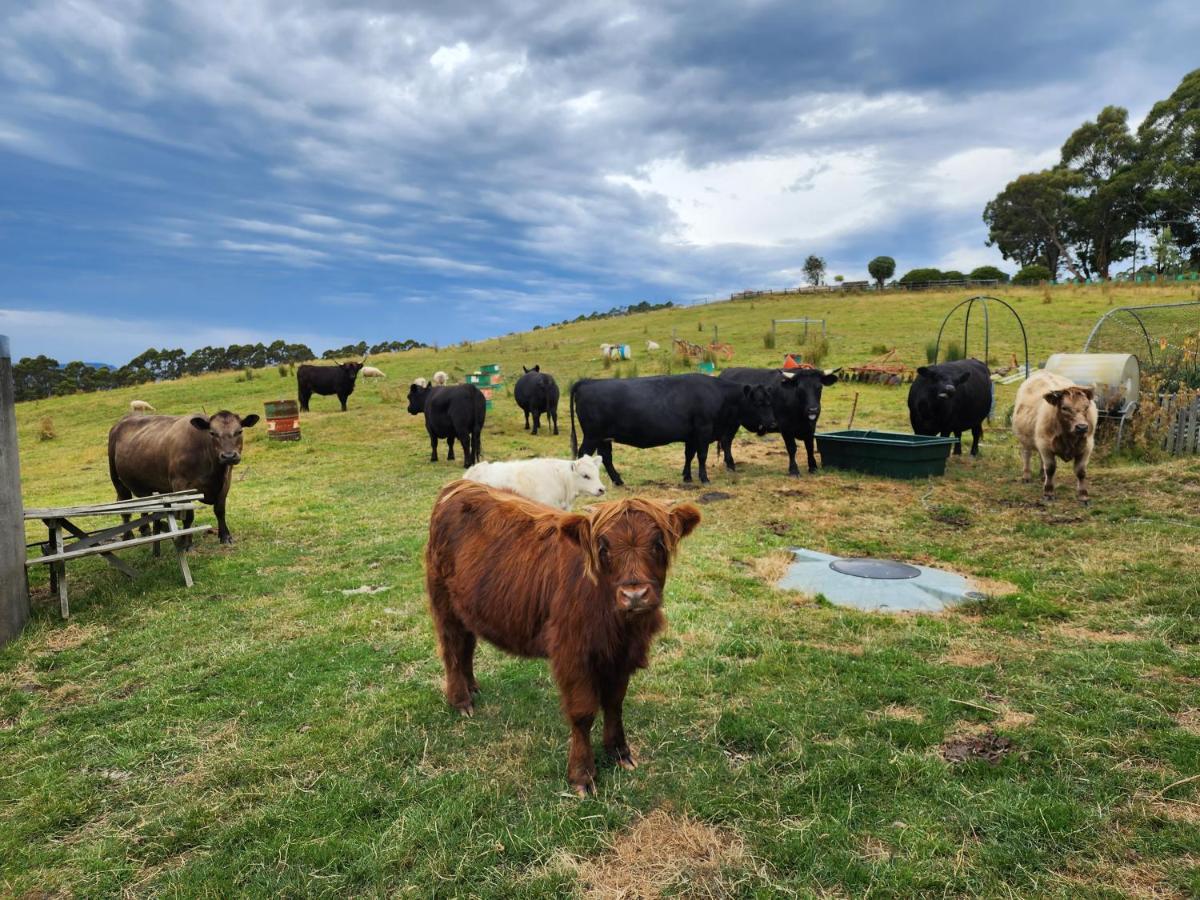 Ruby's Cottage Farm Stay