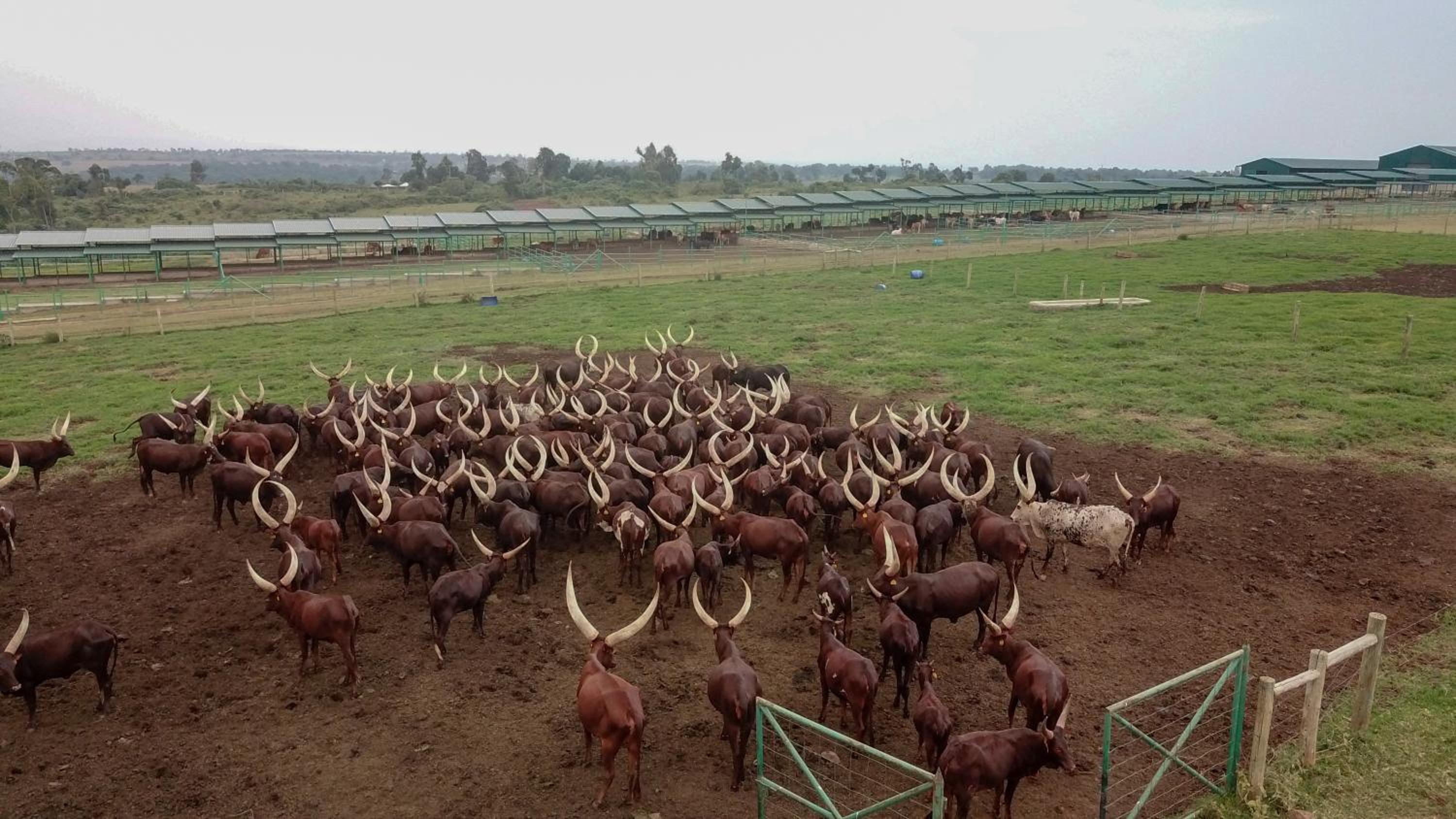 Masai Mara Vacations - Mara Elatia Camp - Property Image 9