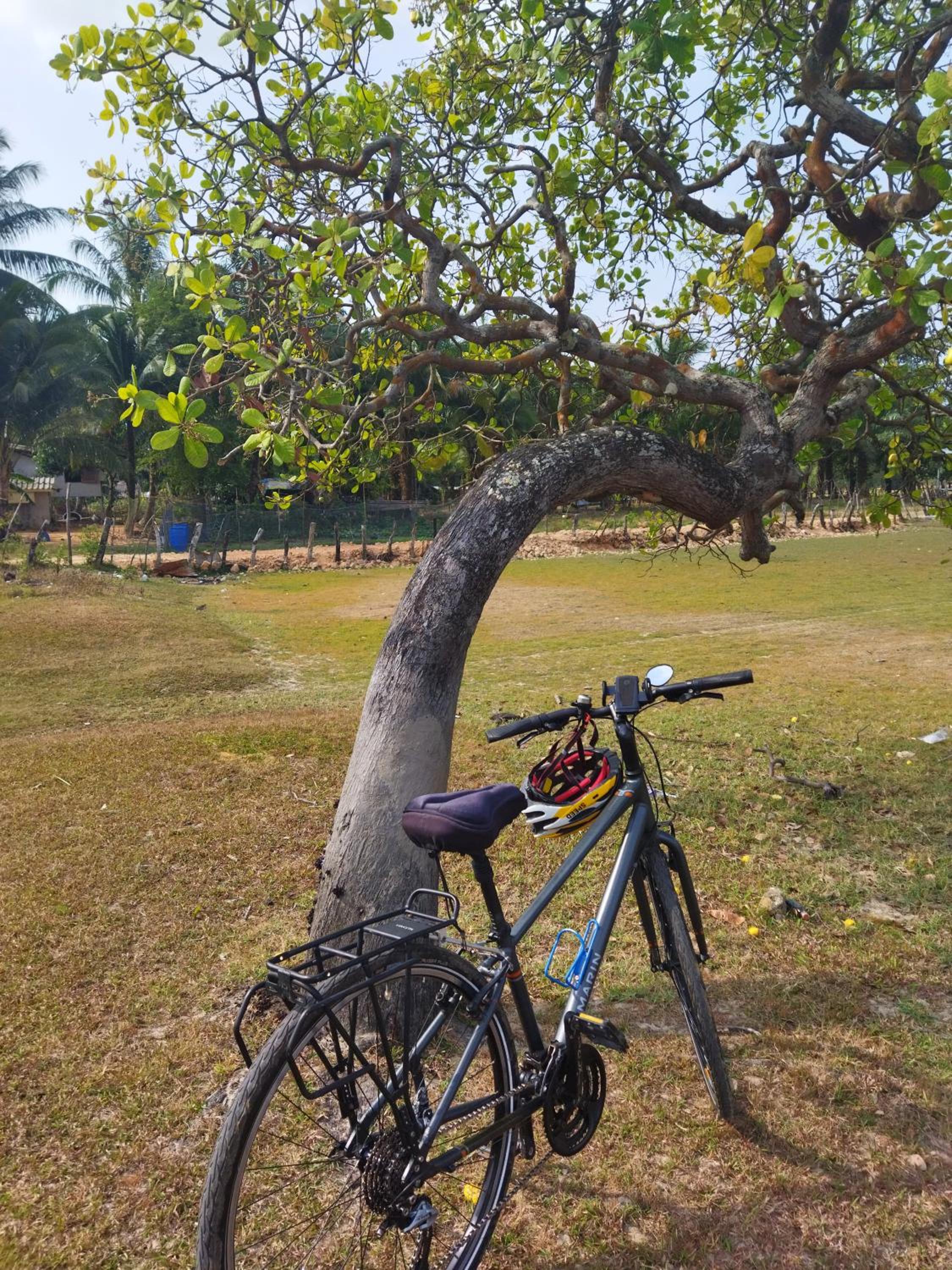 Andaman Peace Resort view 5
