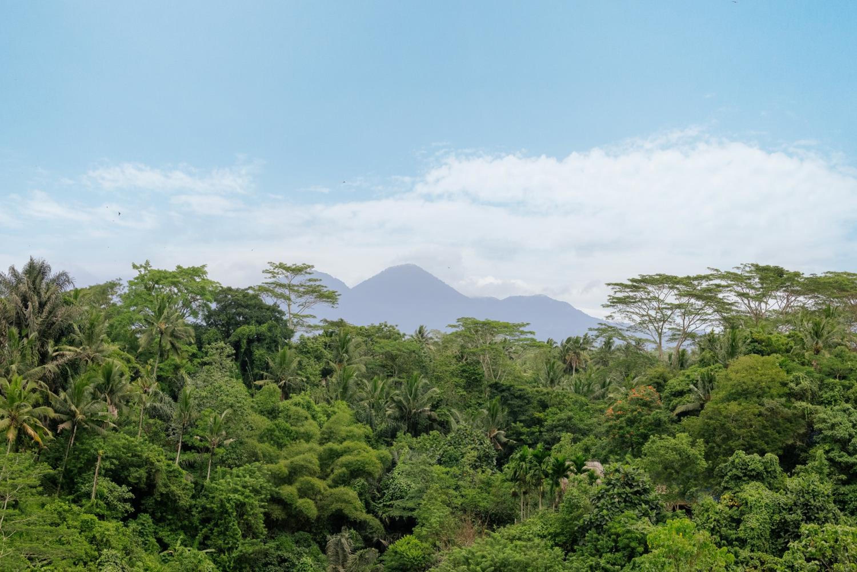 Metland Venya Ubud