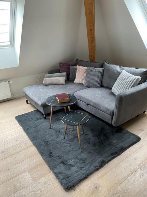 Gemütliche & zentrale Wohnung in der Stadt Zürich
