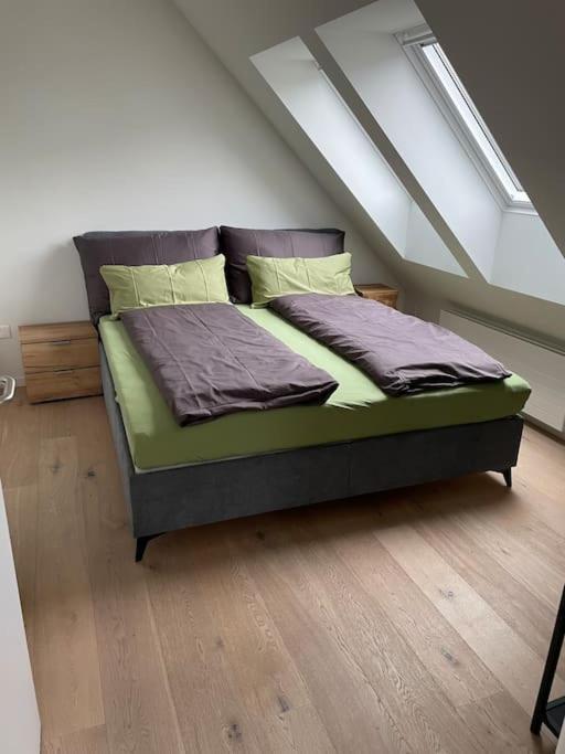 Gemütliche & zentrale Wohnung in der Stadt Zürich