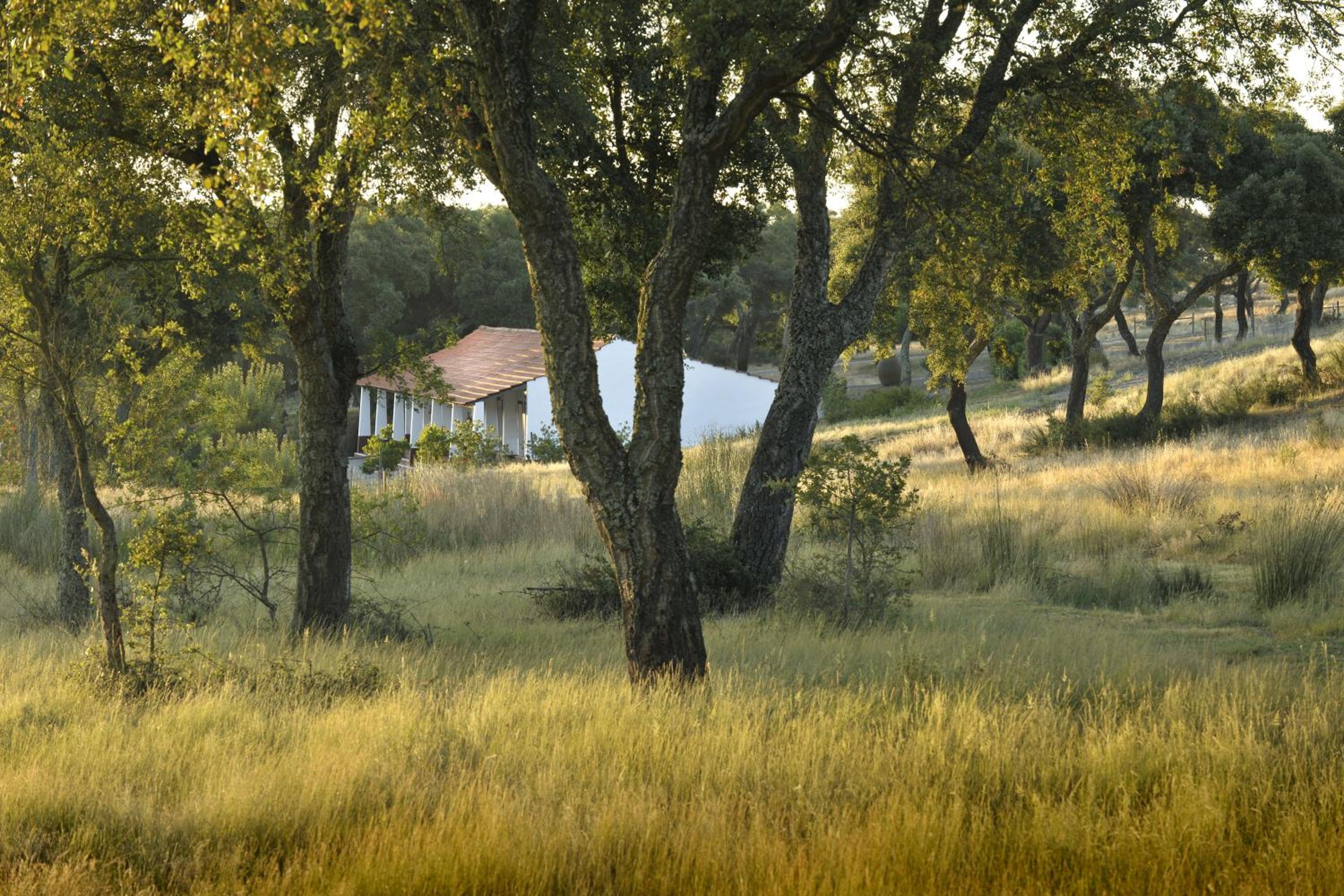 Photo 49