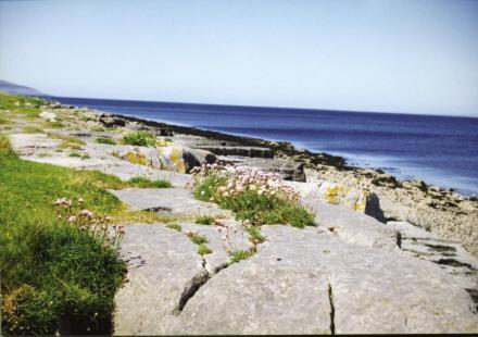 Burren Seaside Lodge by Trident Holiday Homes