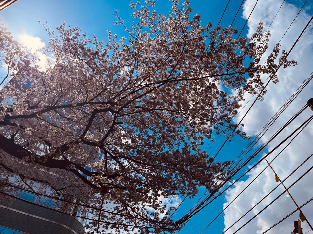 池袋Apila