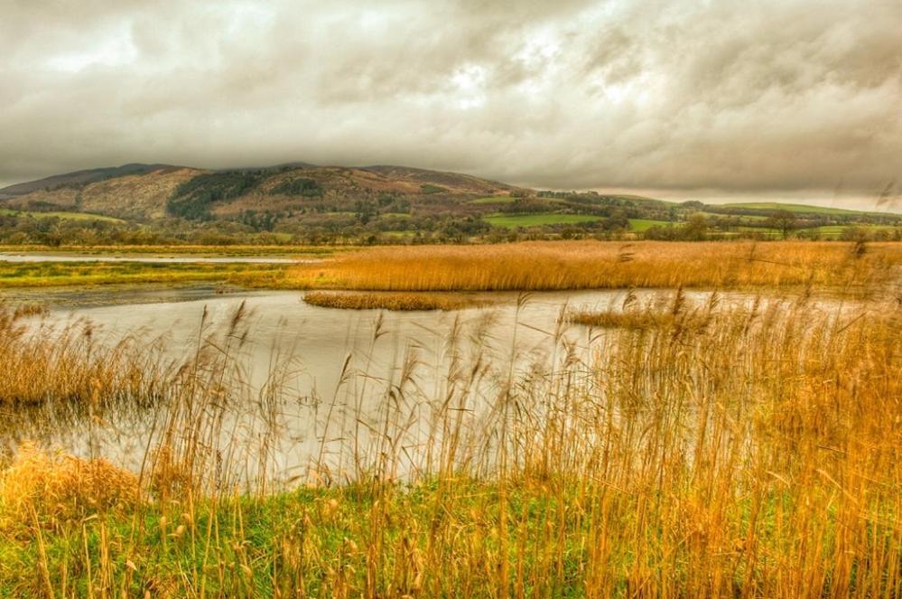 Shelduck Cottage