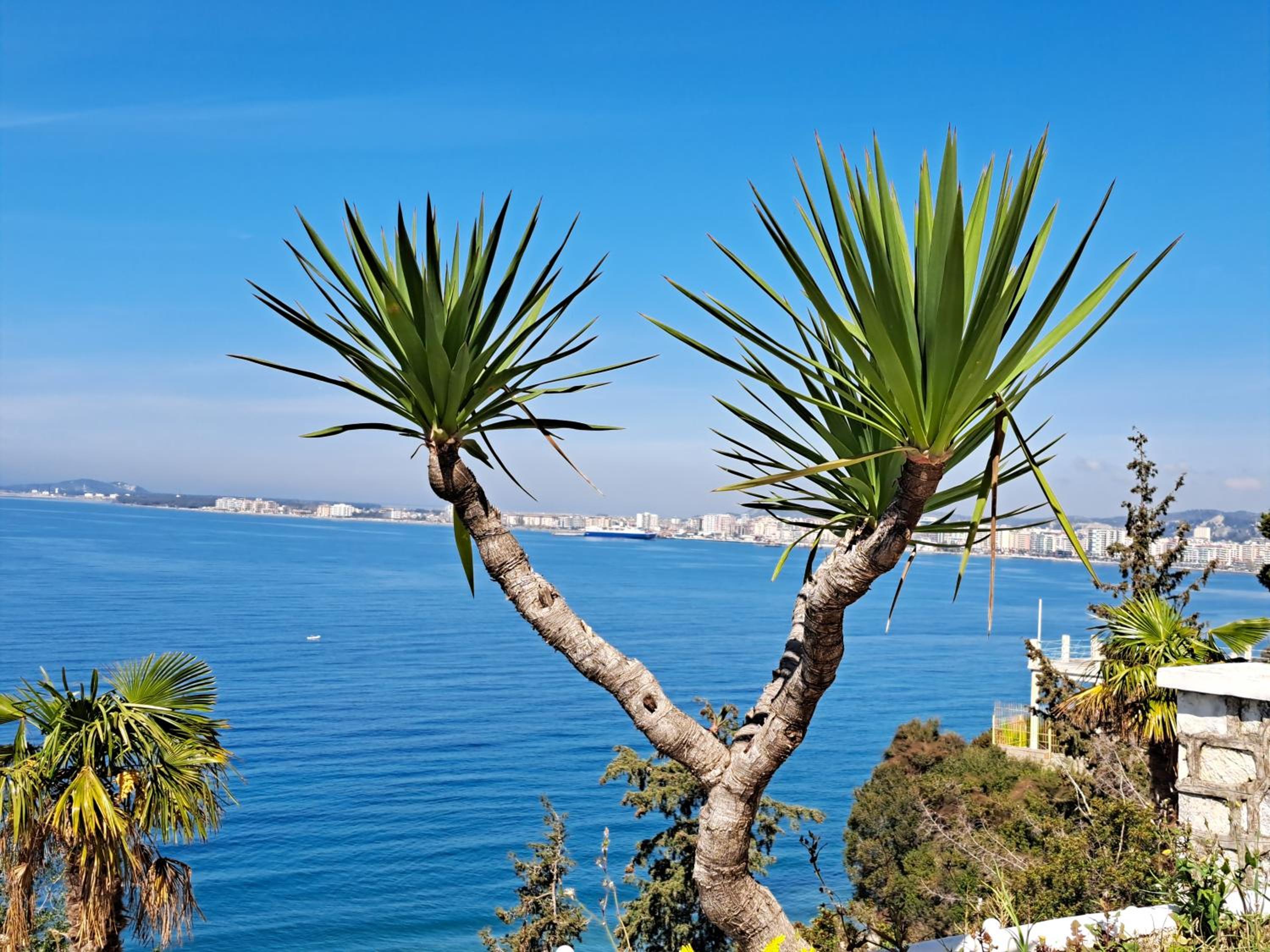 Vlora Bay