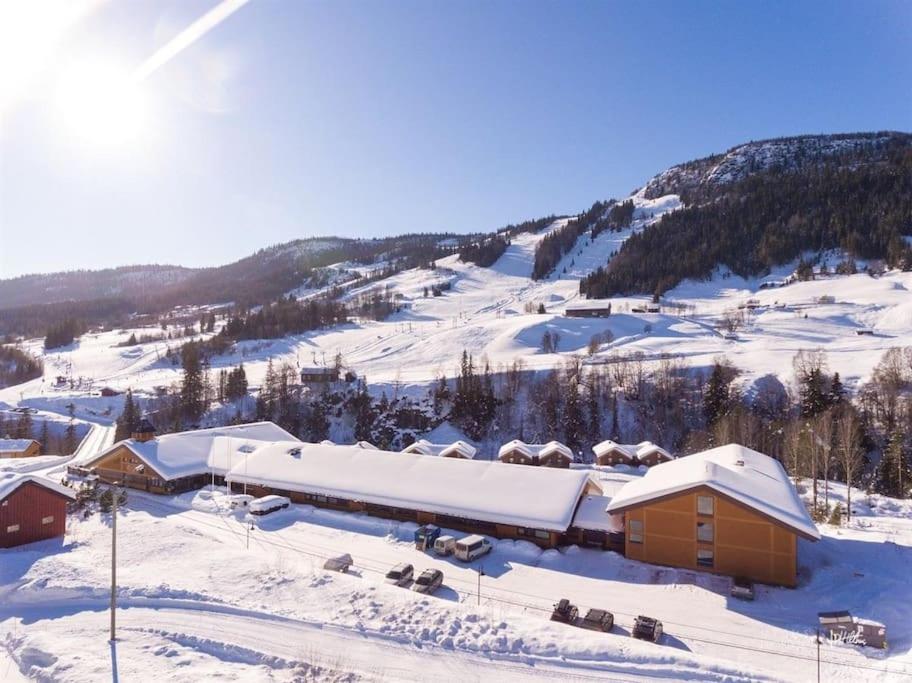Actif 106 - Hallingheim apartment ski inn/ski ut view 4