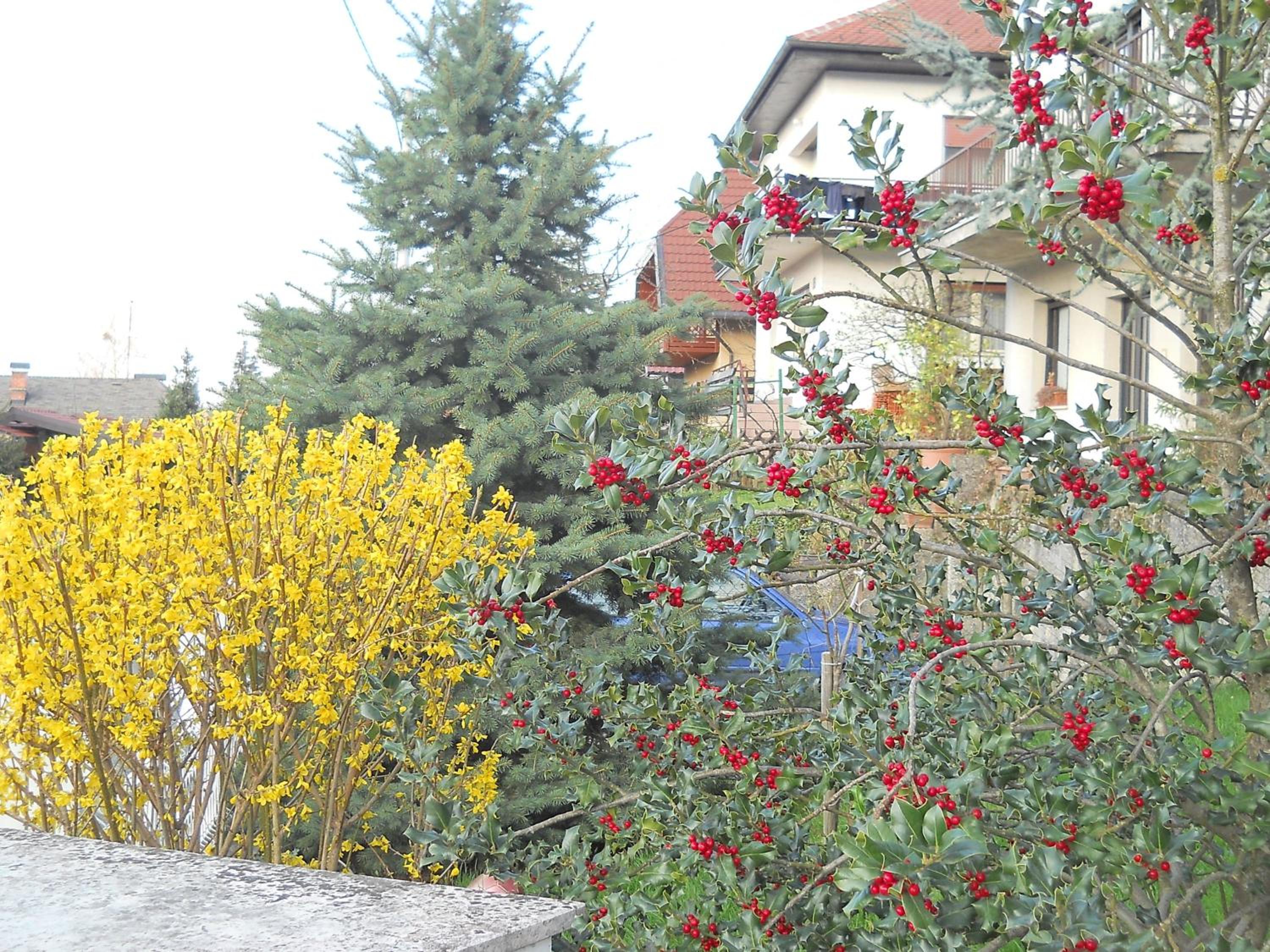 Photo 23