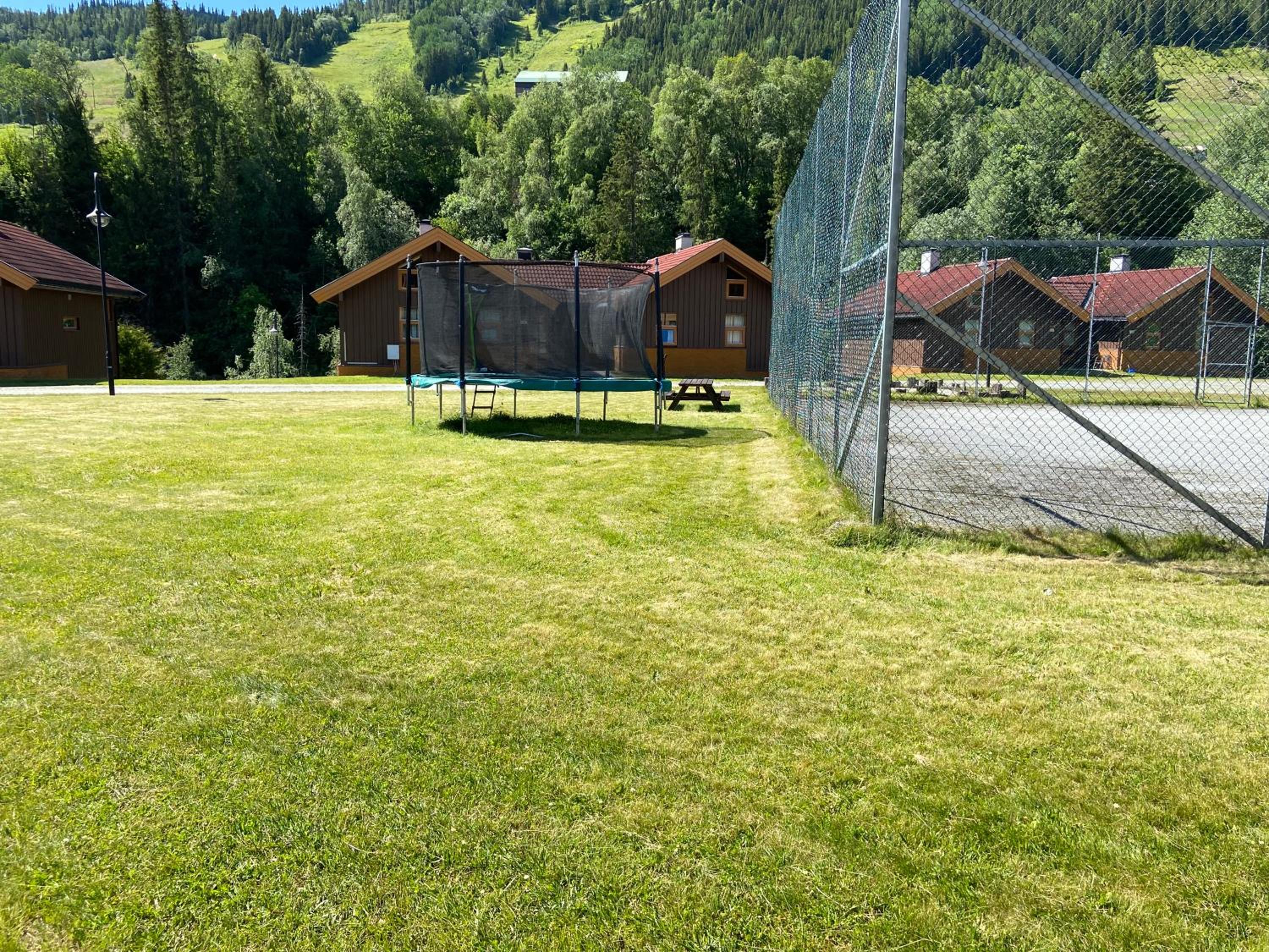 Photo 13