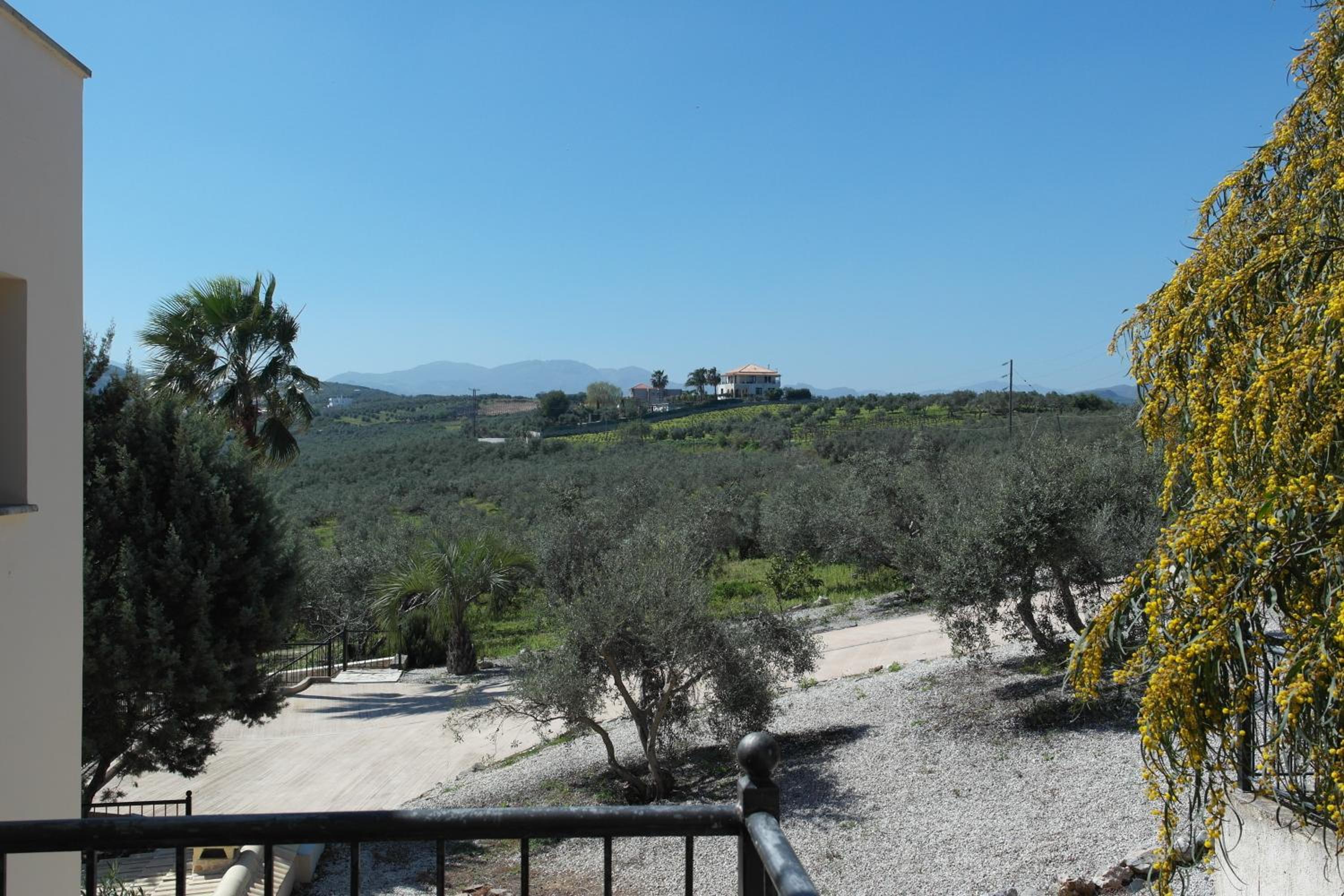 Country Bellavista Darmarohori