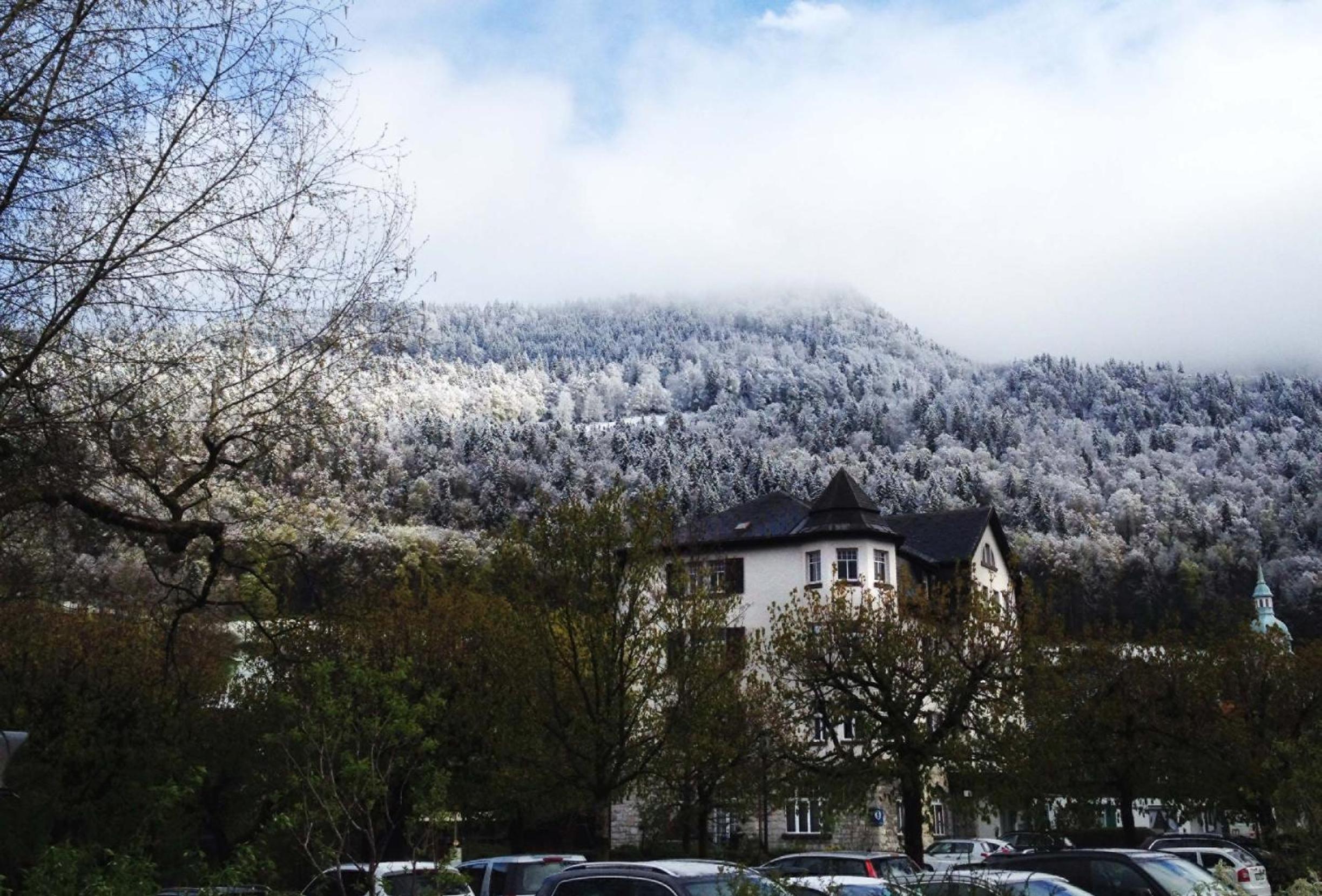 Boutique Apartments Bezau