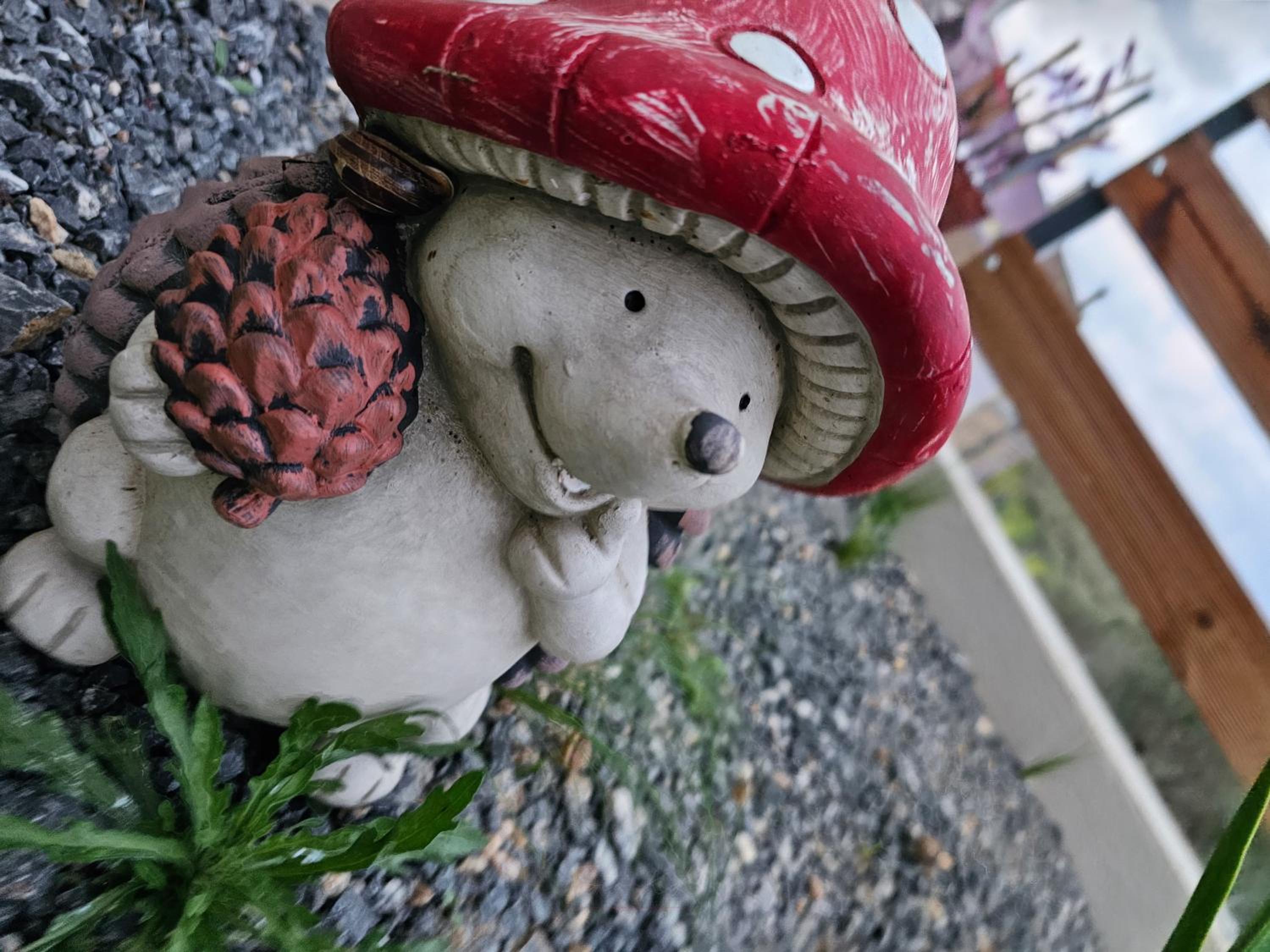 Photo 23