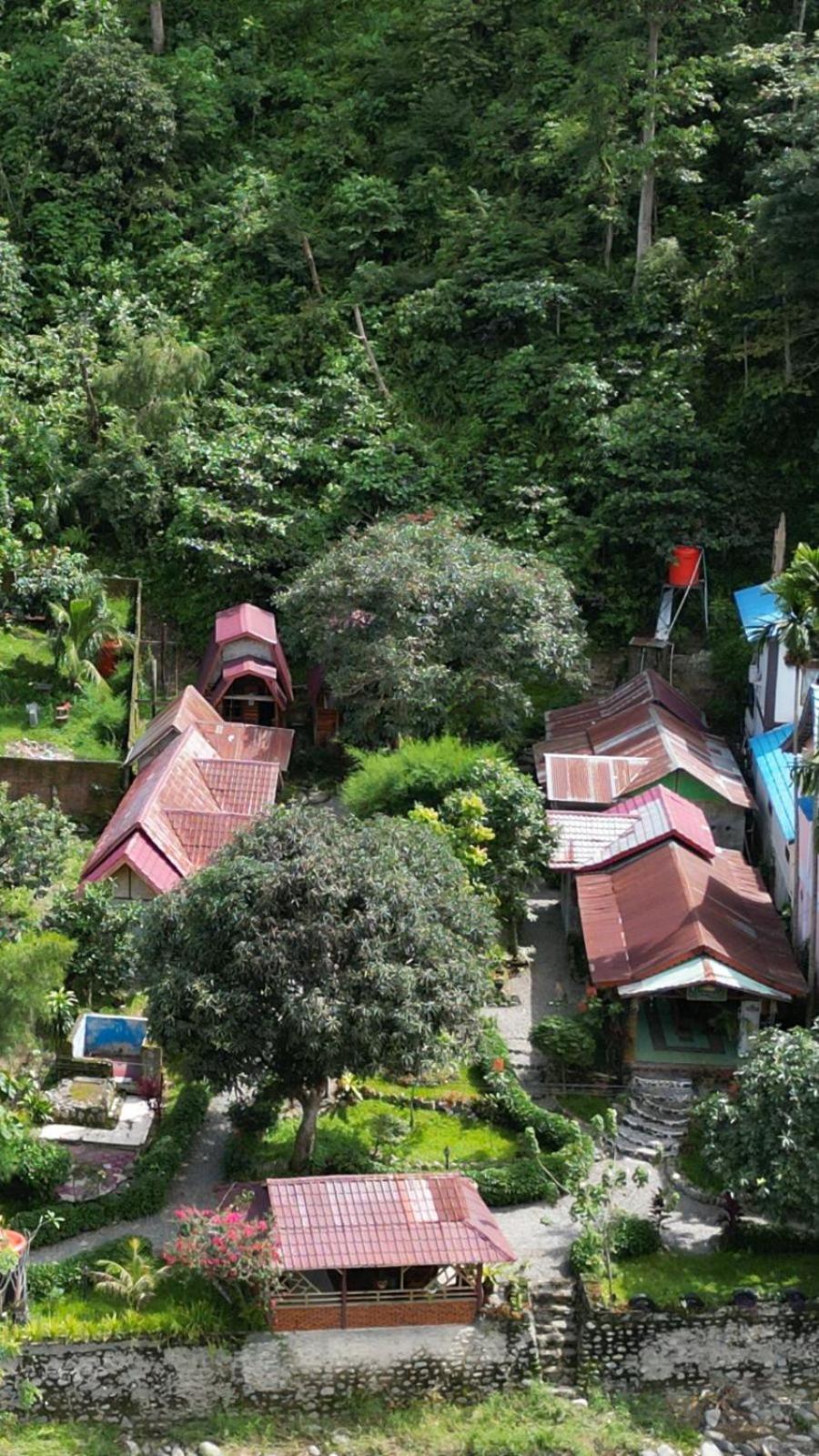 Lucky Bamboo'Bungalows and Orangutan Jungle Trekking Tours