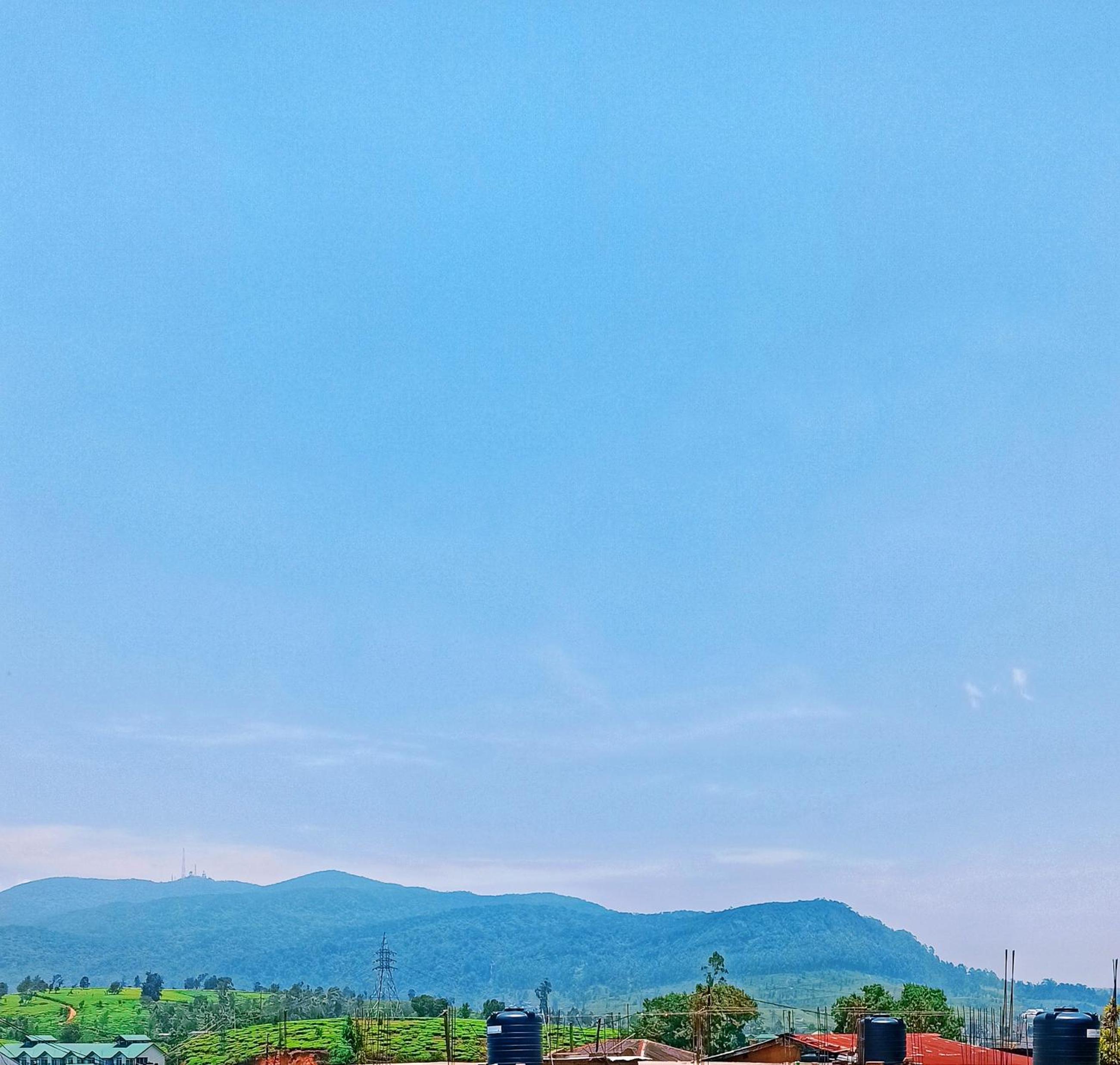 Mount Elegance