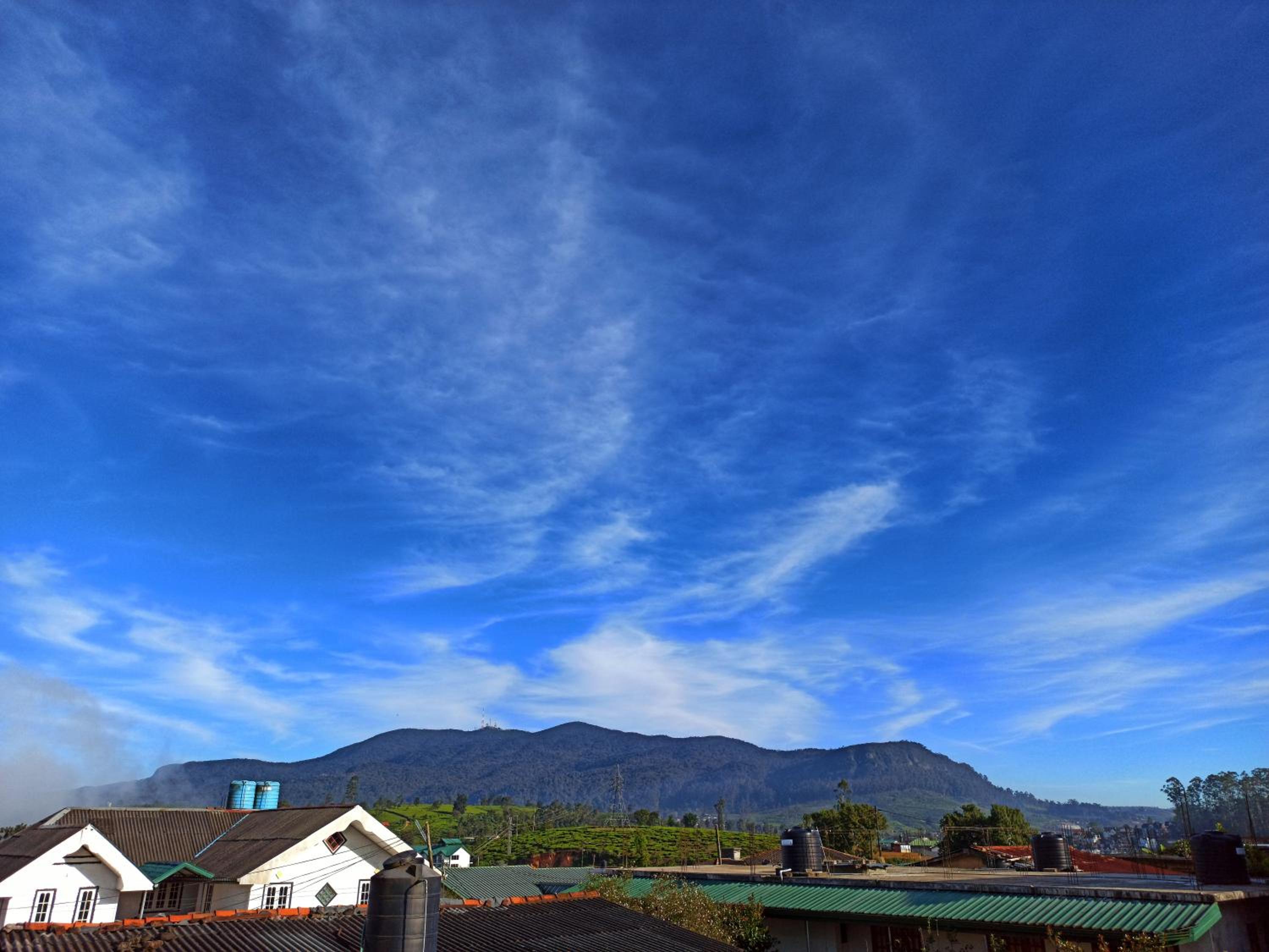 Mount Elegance