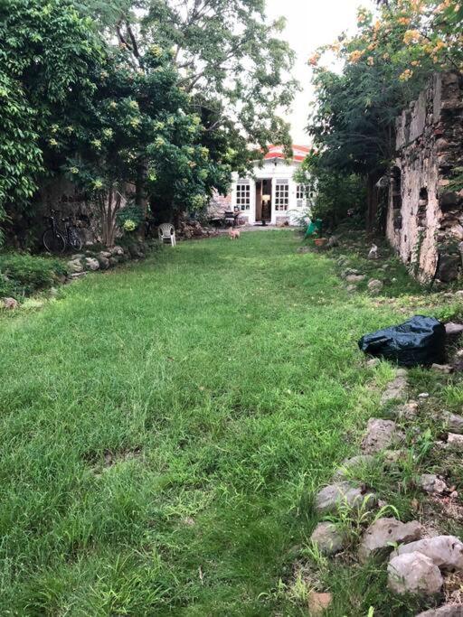 Photo 12