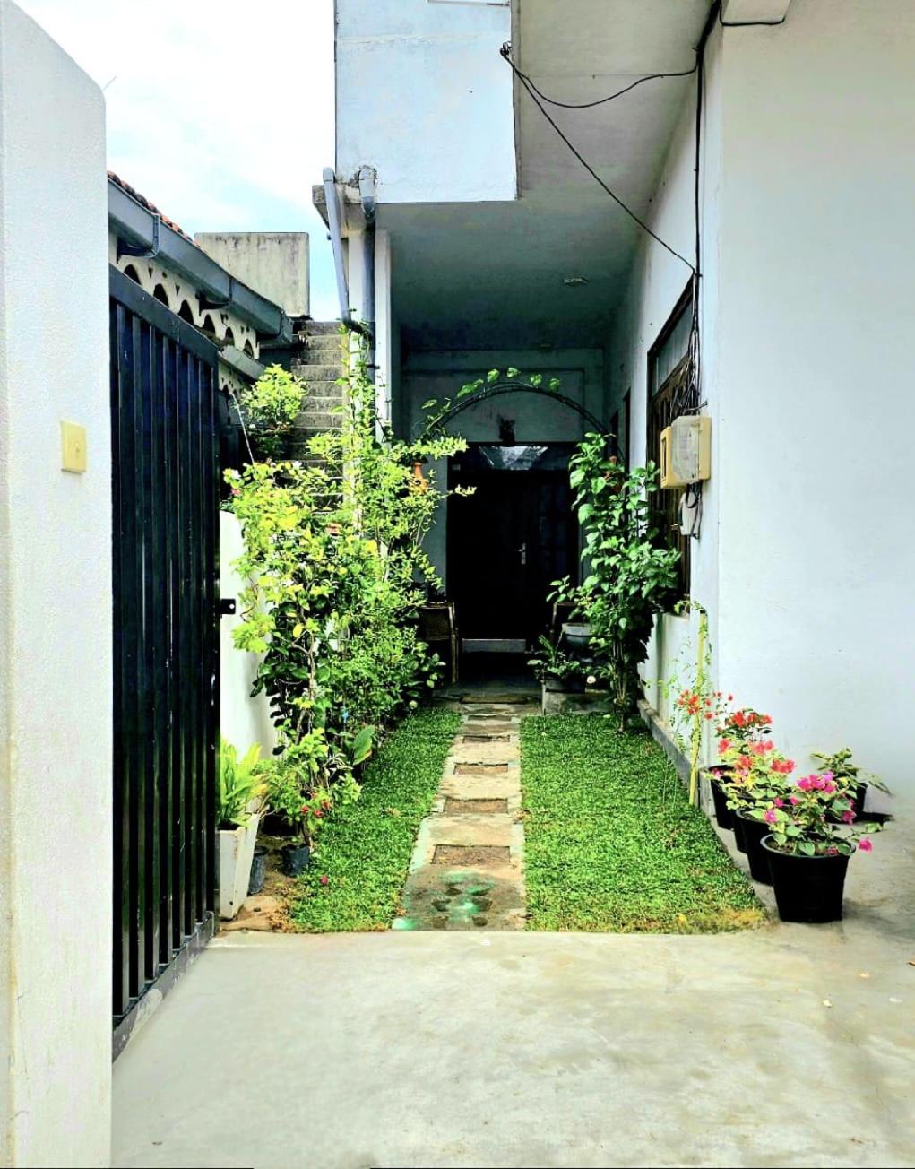 Aloevera villa