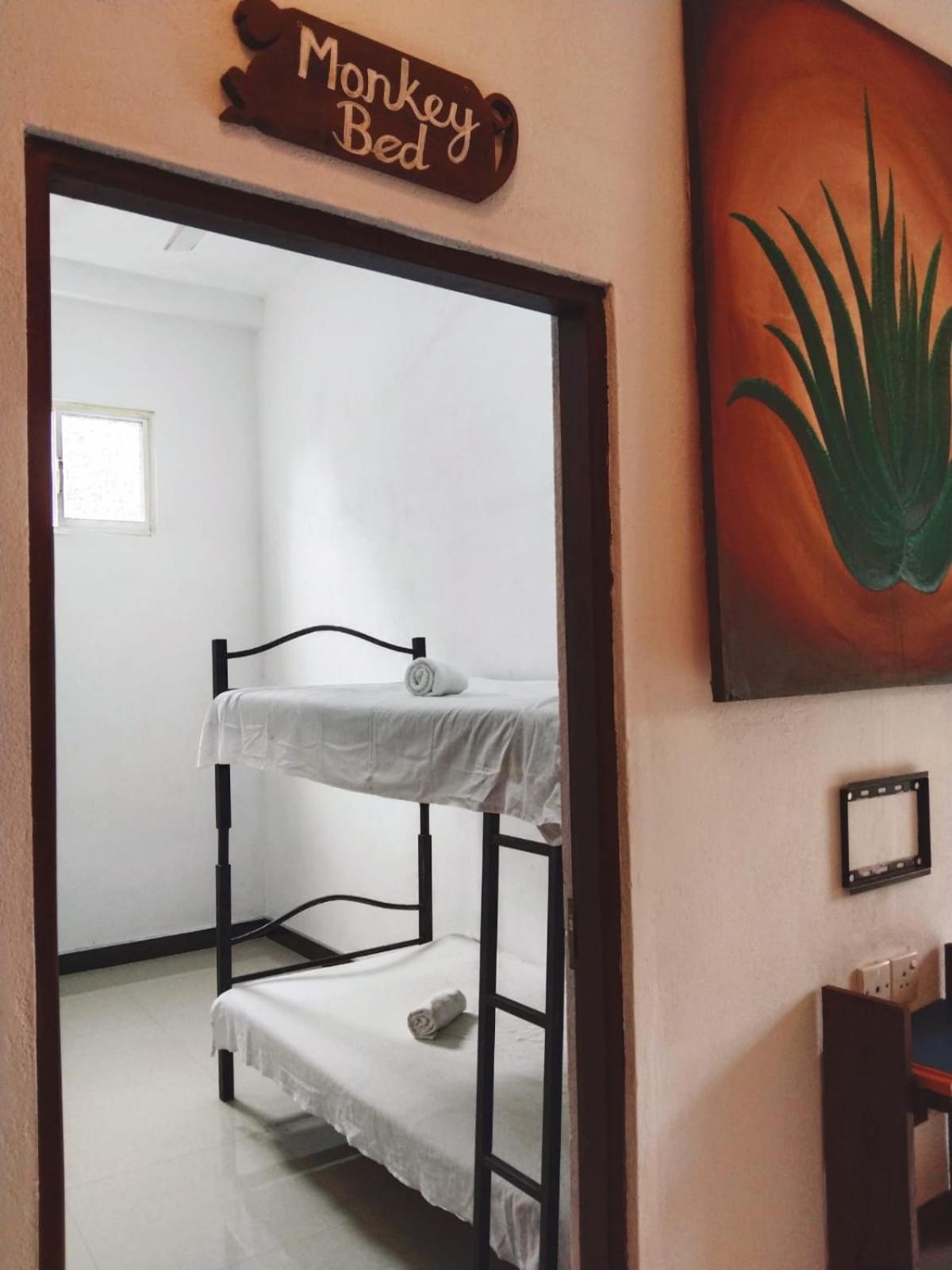 Aloevera villa