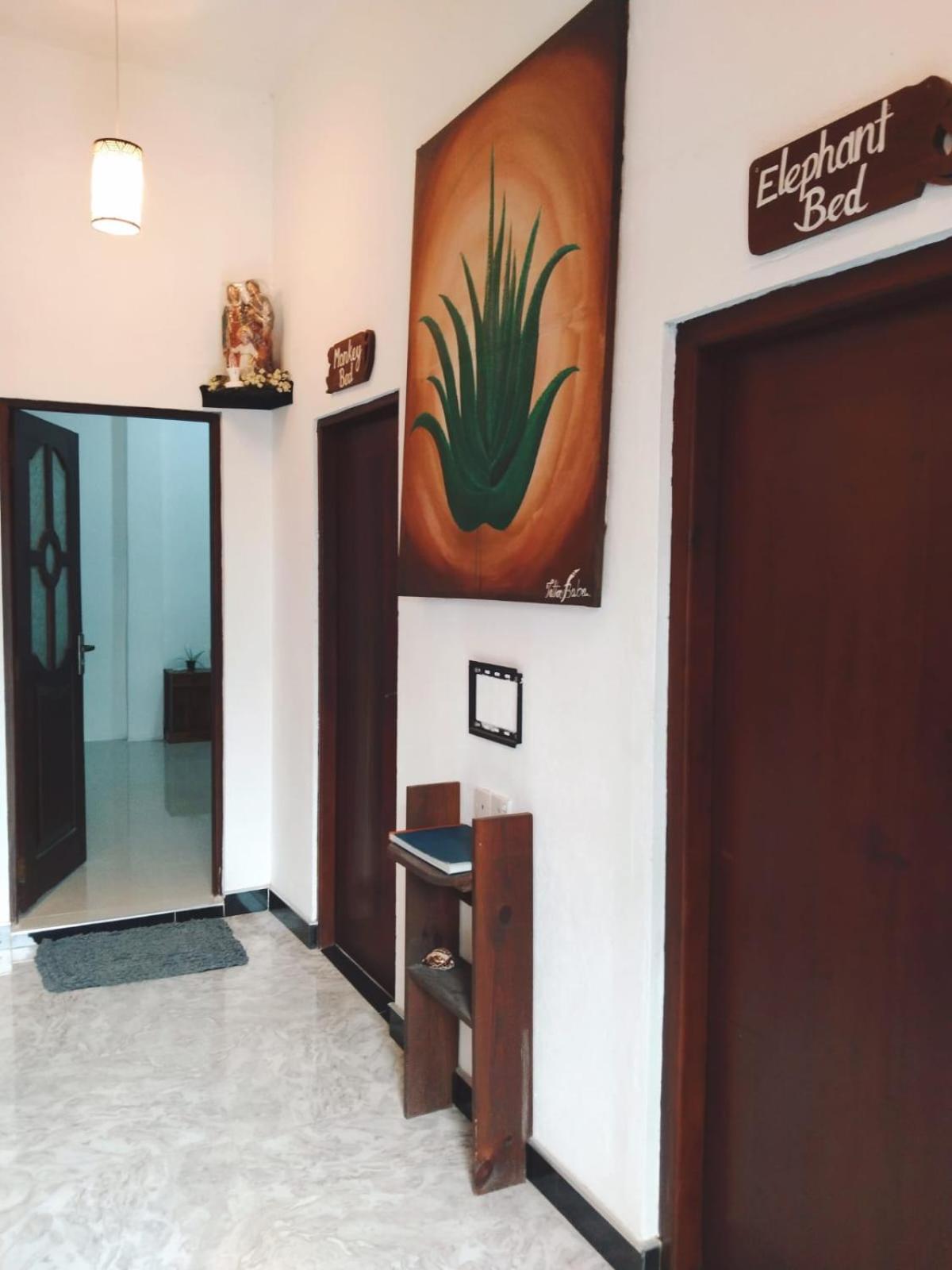Aloevera villa