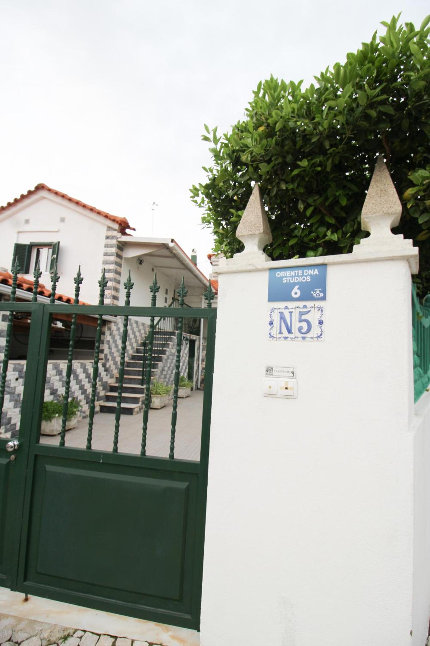 Oriente DNA Studios