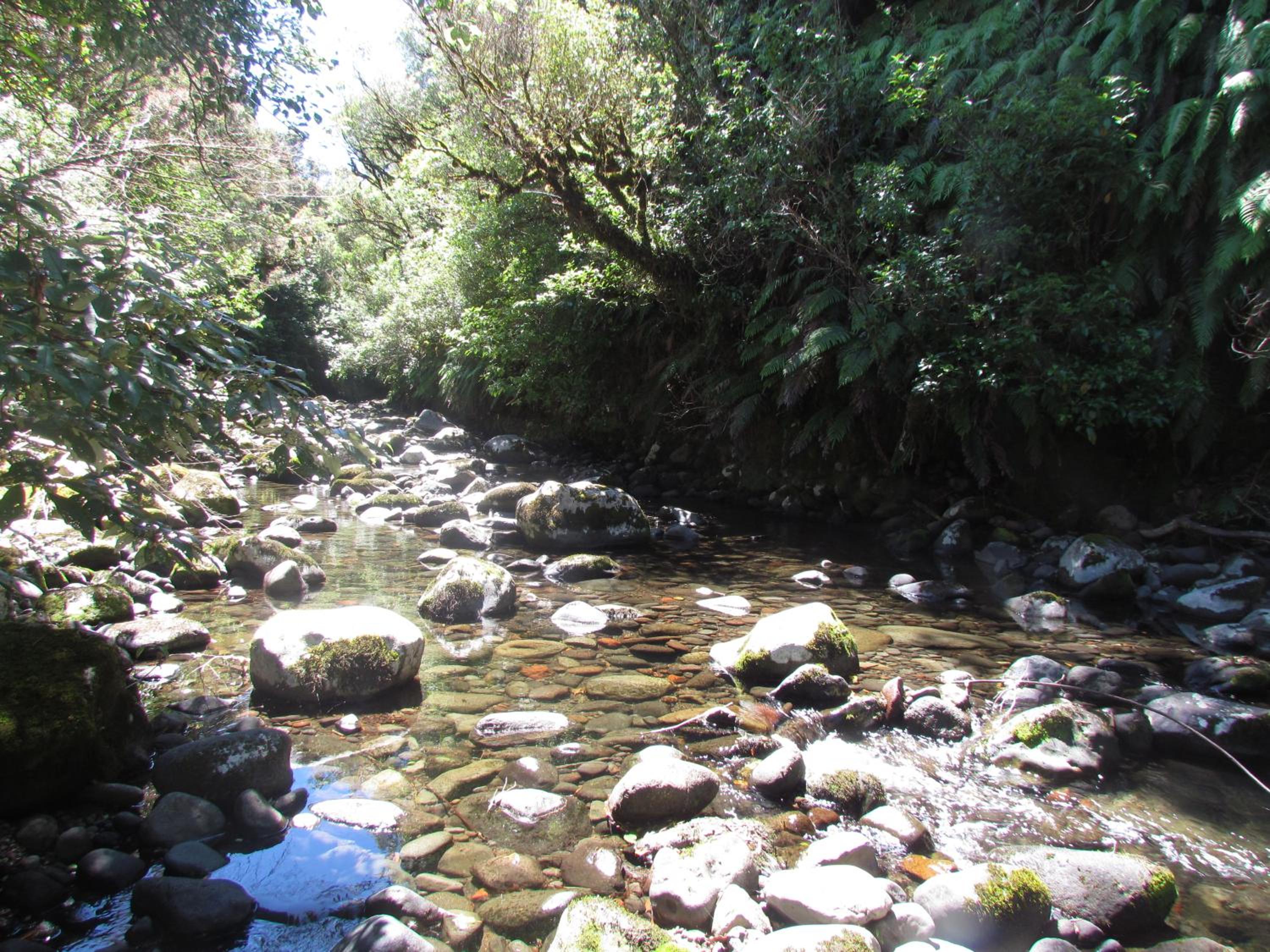 Tongariro Suites