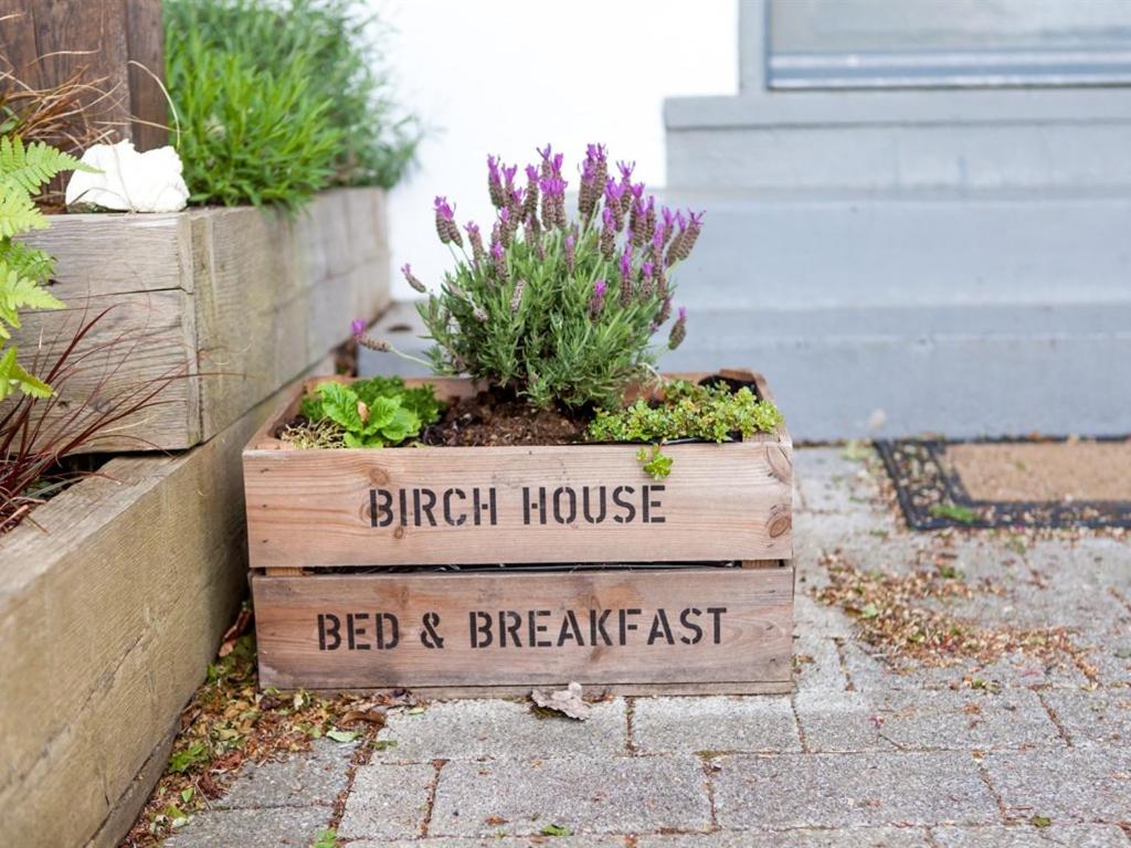Birch House Bed & Breakfast view 4