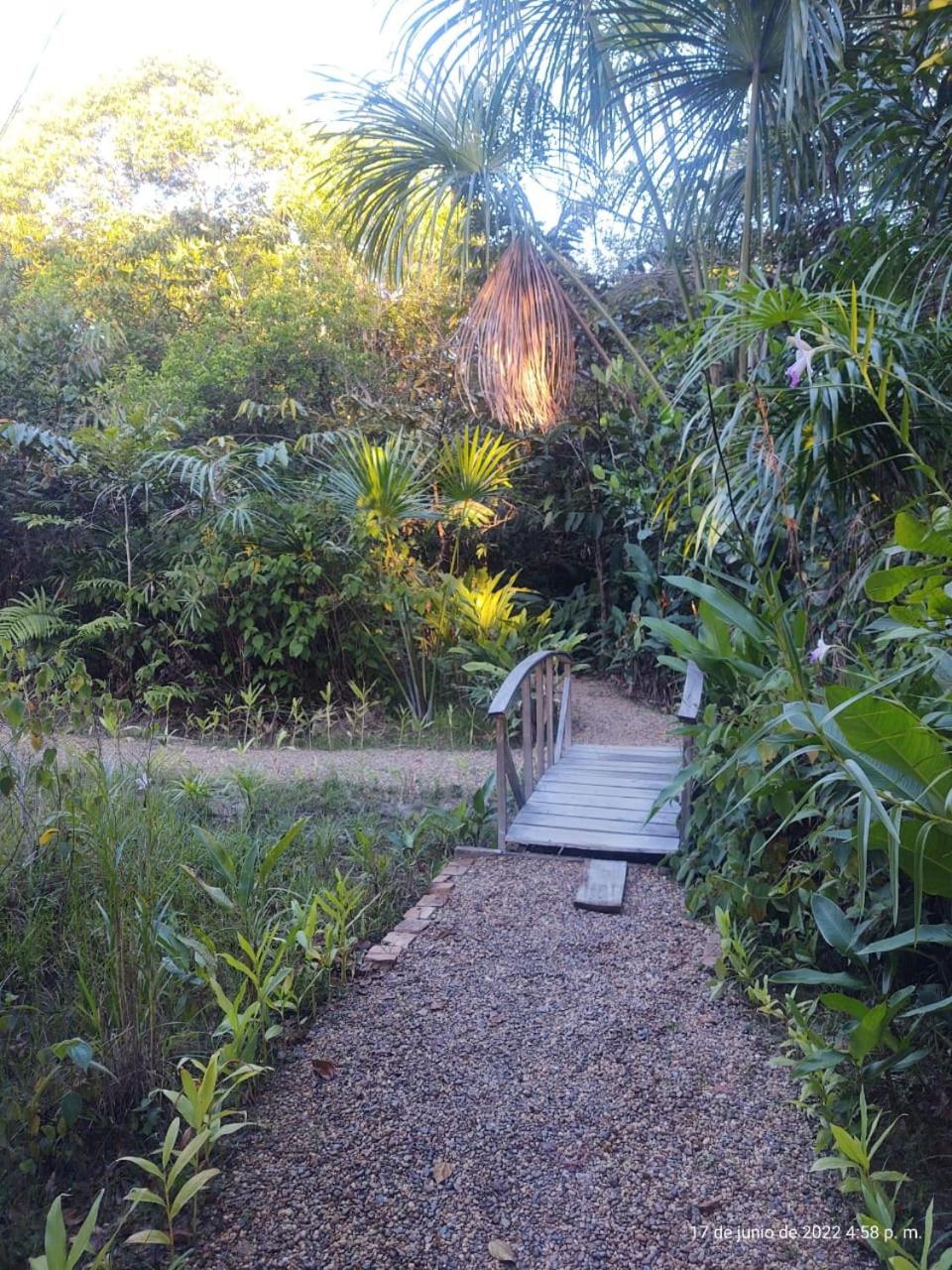 Photo 19