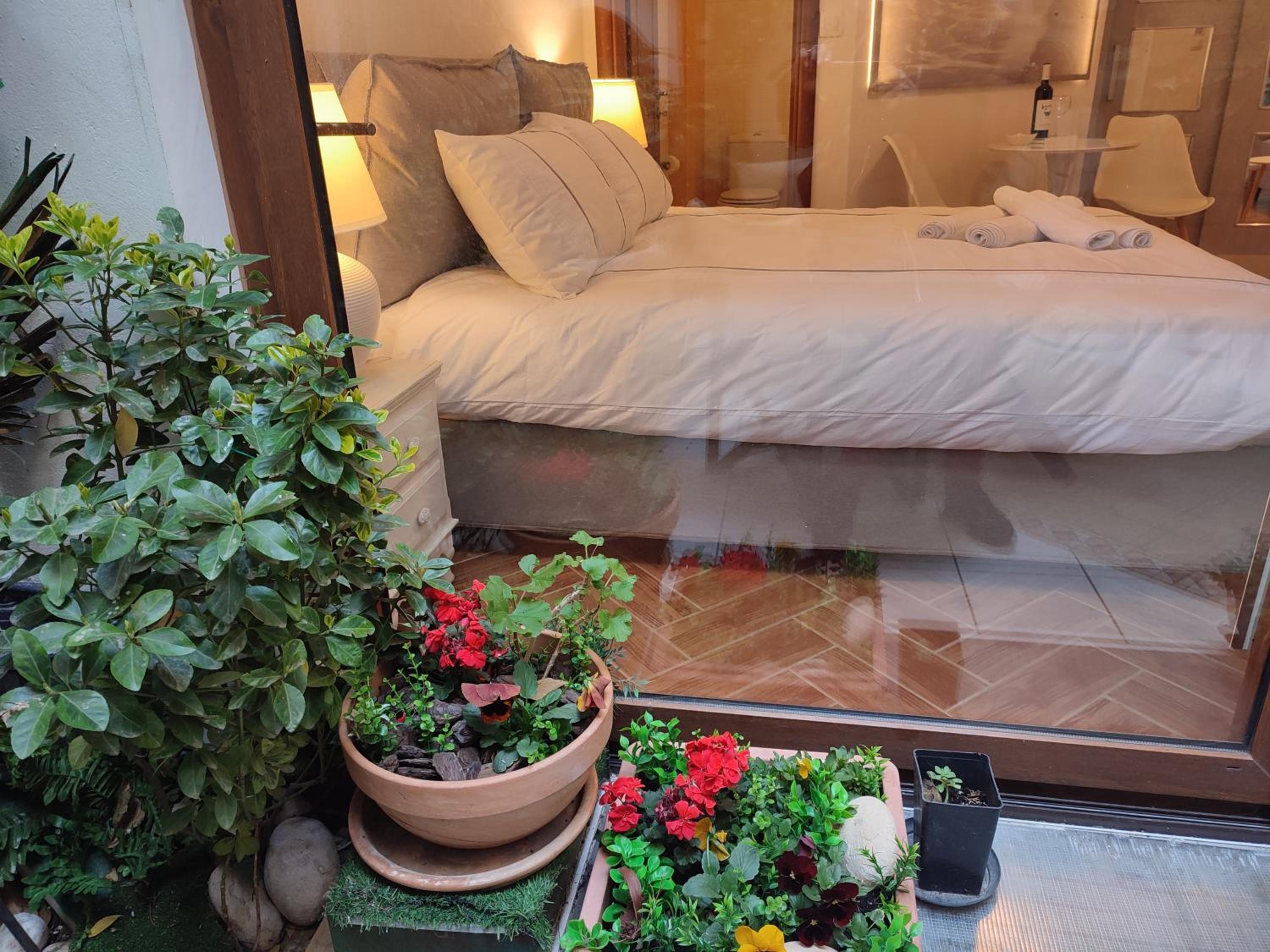 Studio Apollonia