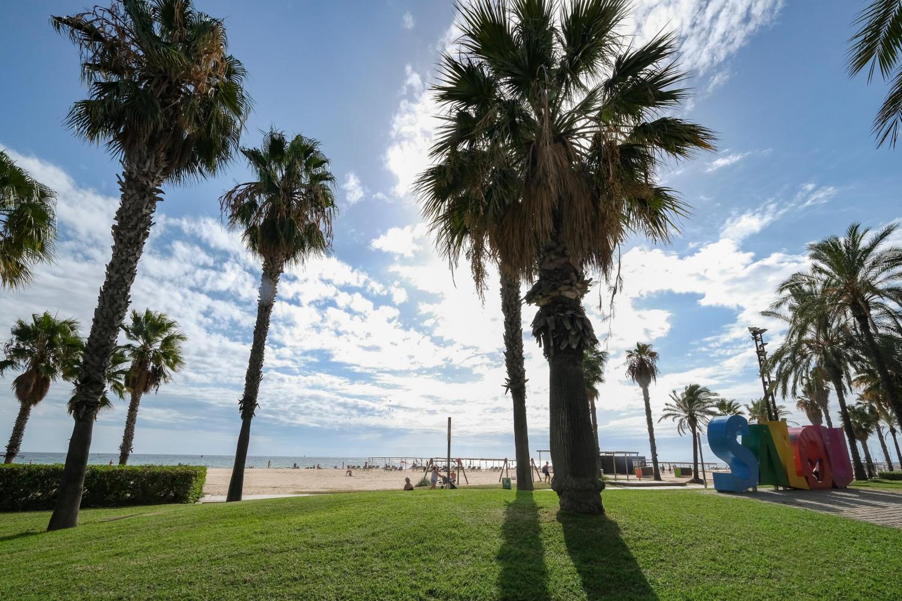 NOVELTY SALOU