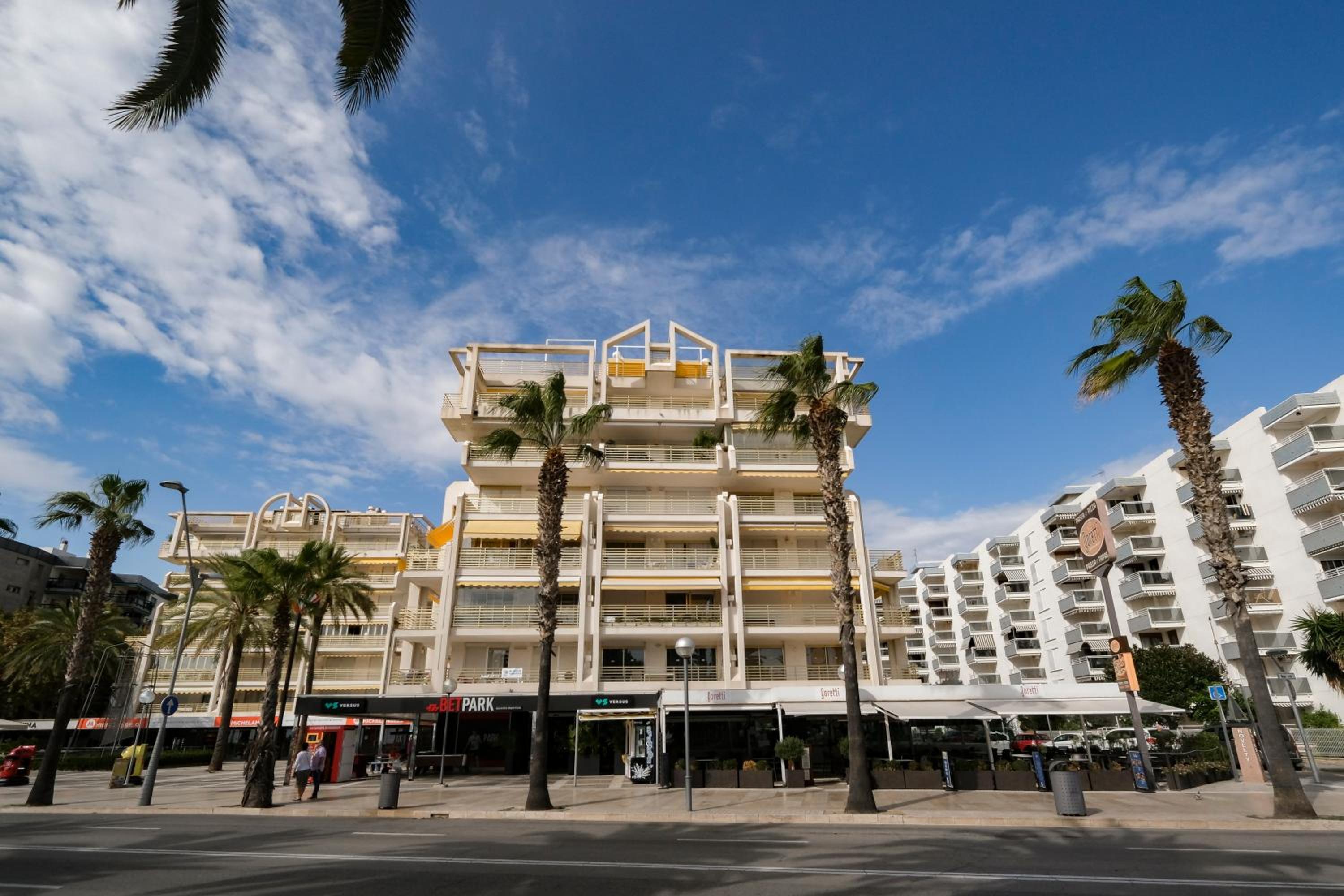 NOVELTY SALOU