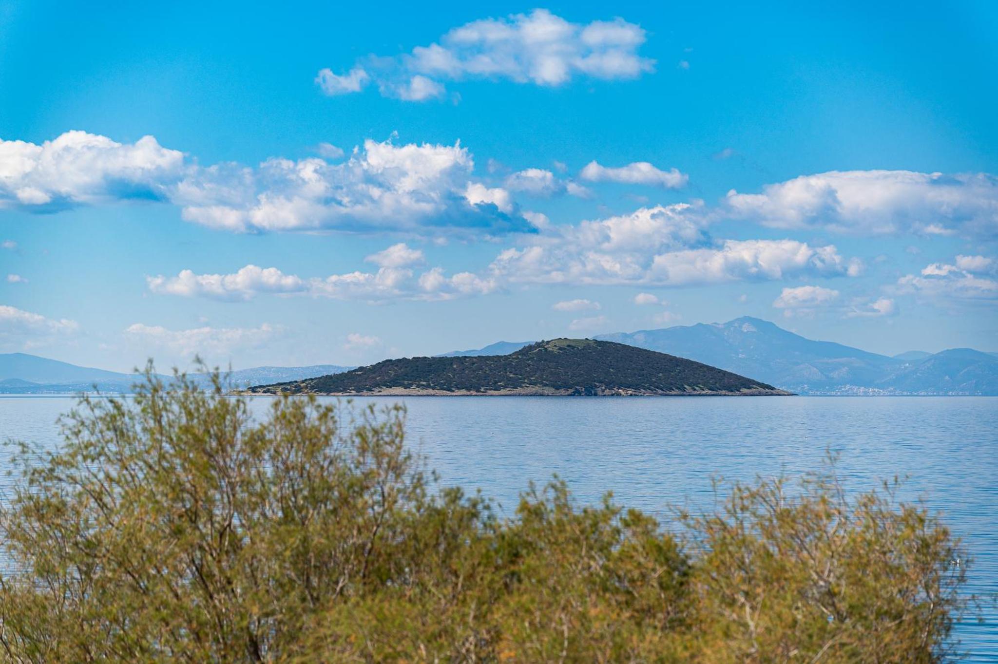 Ο Μόλος photo 5