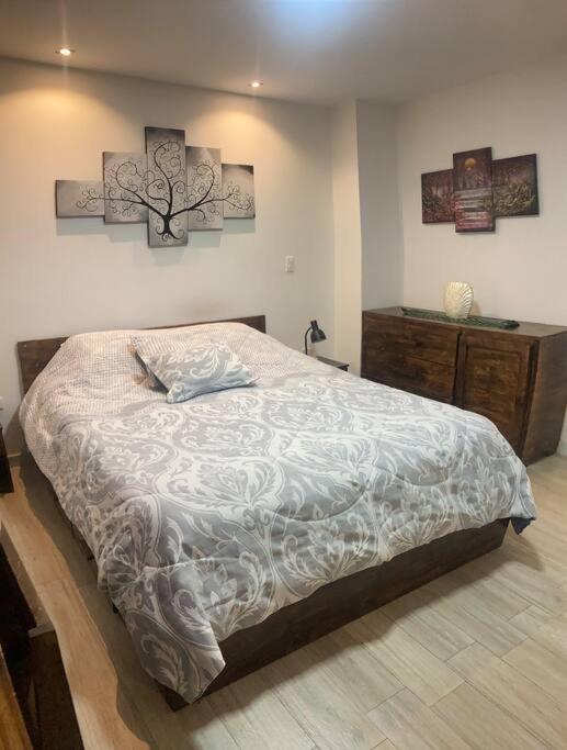 Cozy Suite Cuenca