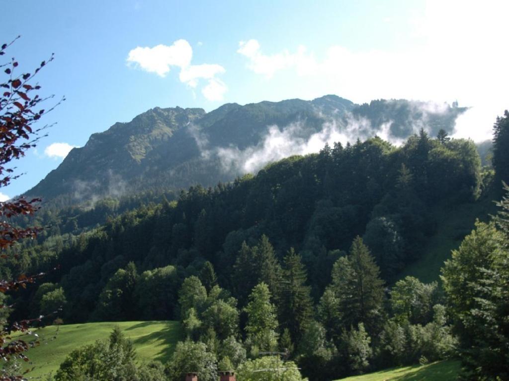 Photo 49
