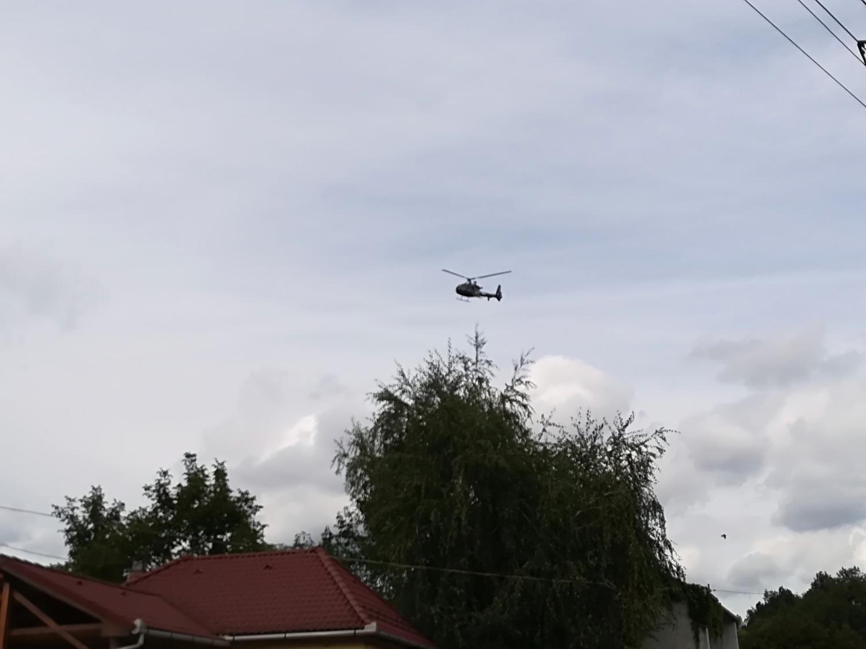 Photo 25