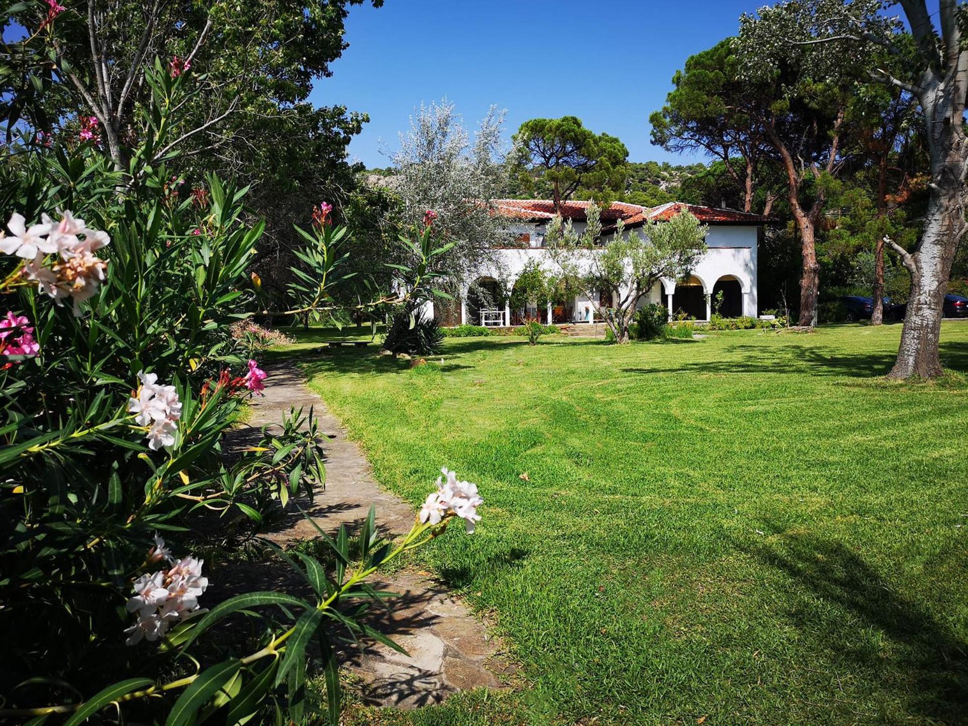Photo 21