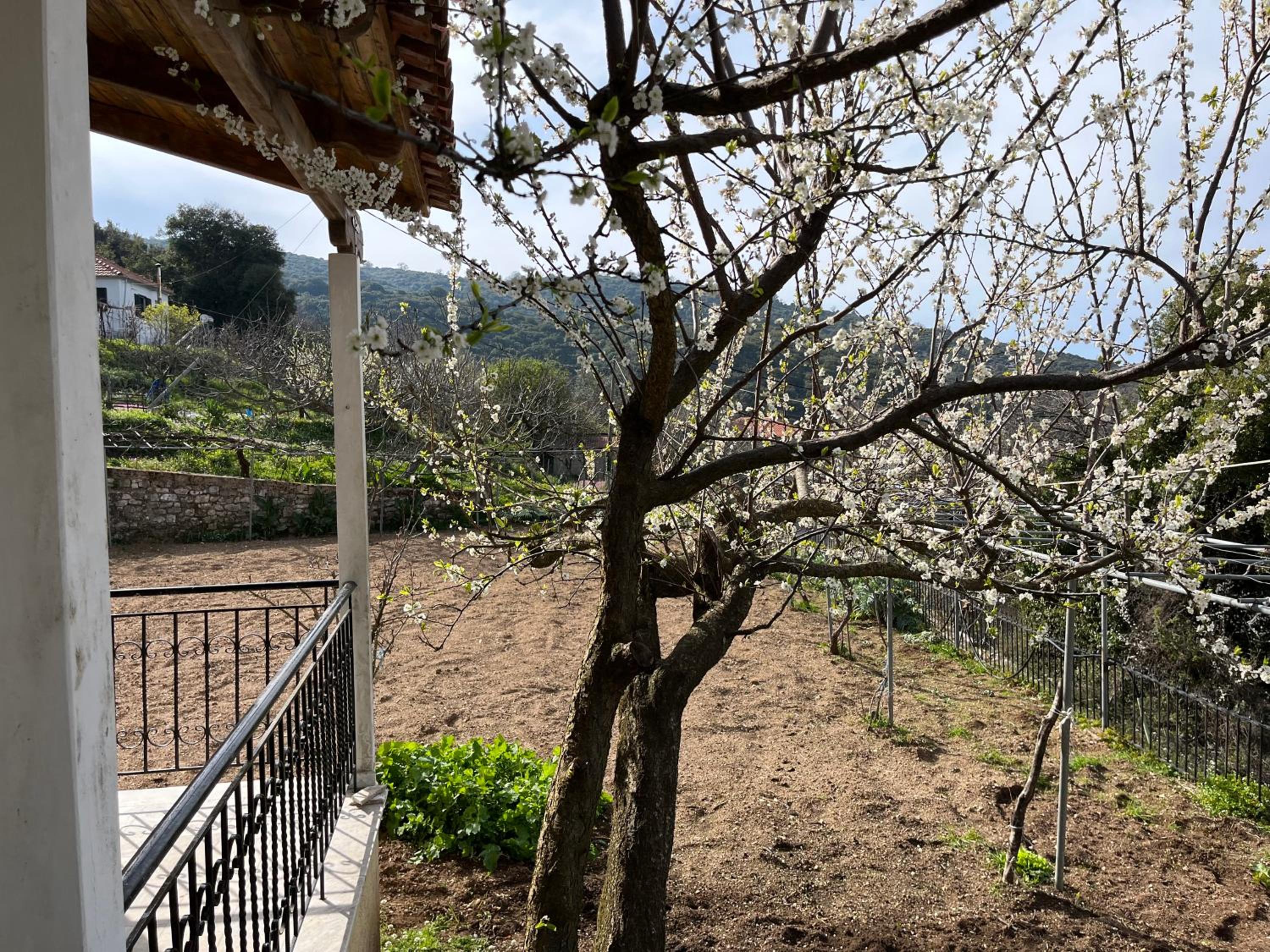 Villa Lazaros