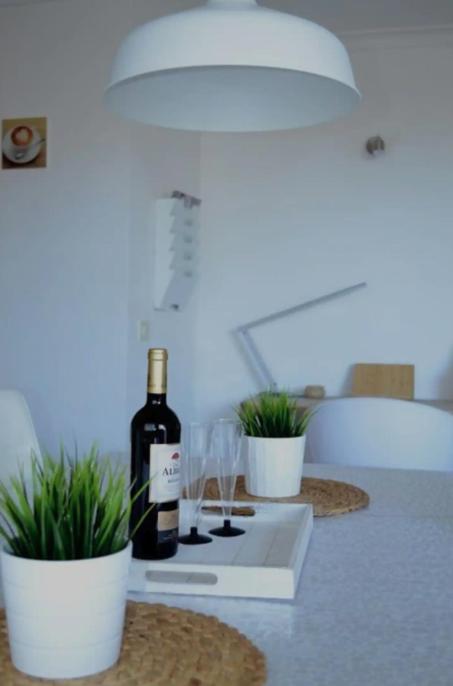 Chic Apartment in Playa Paraiso