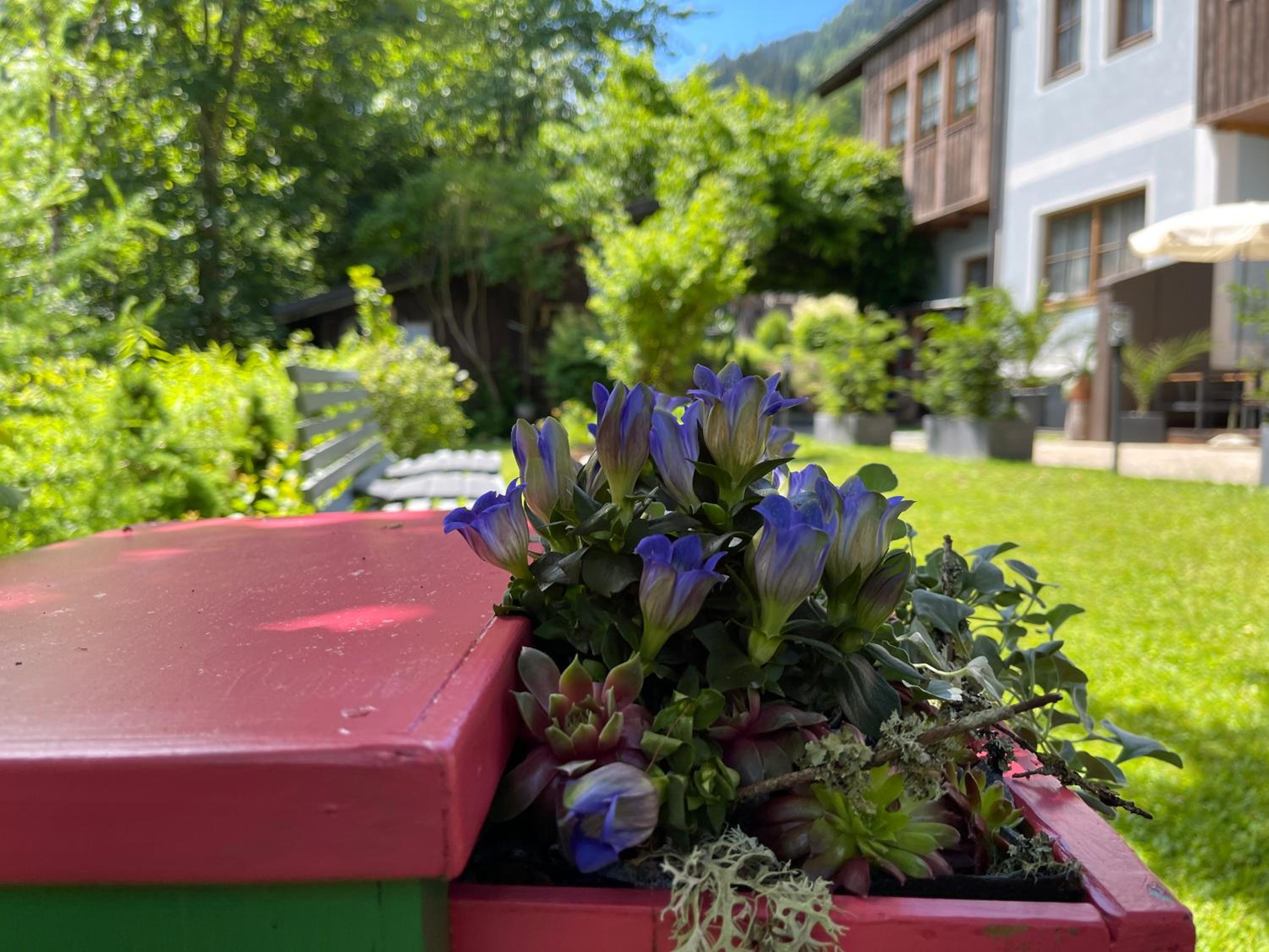 Gasthof Scherer