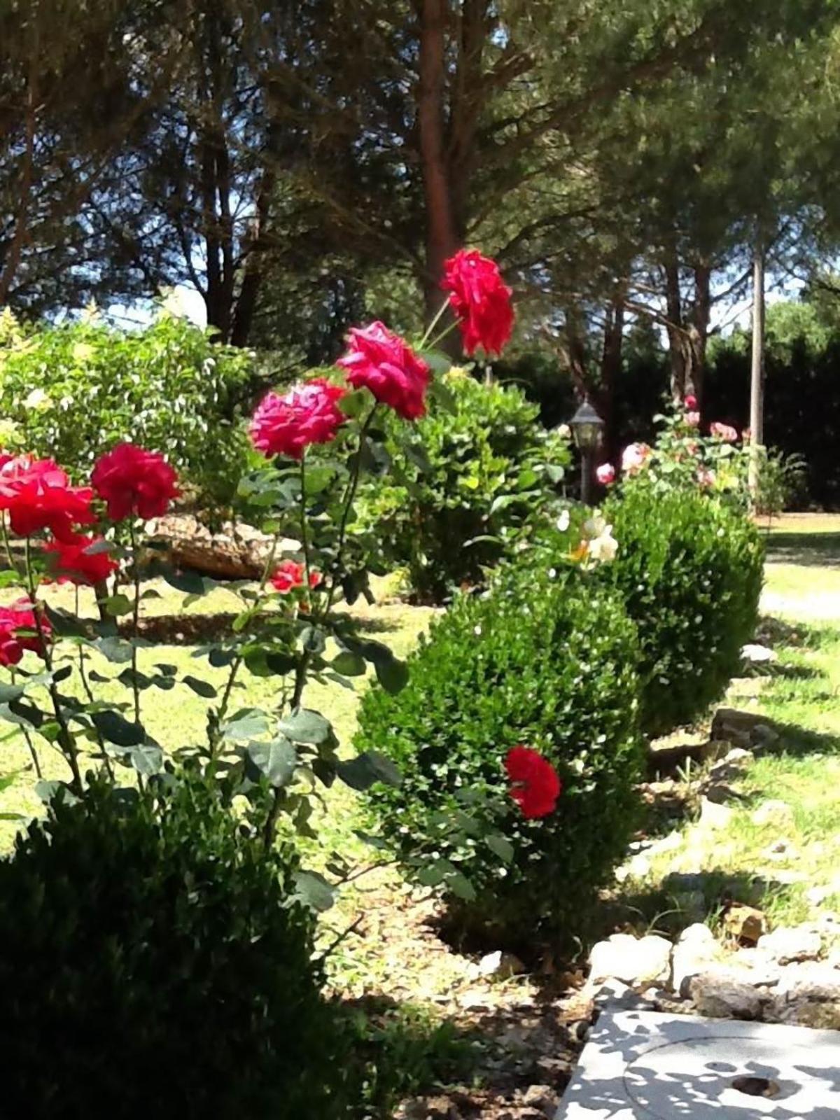 Photo 26