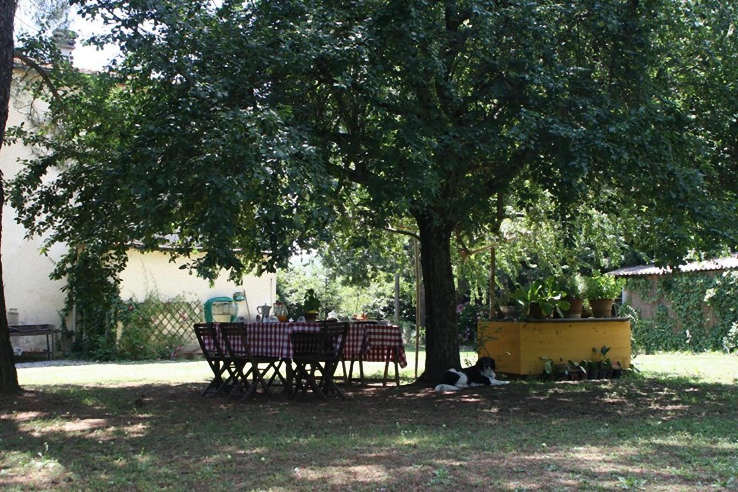 Photo 34