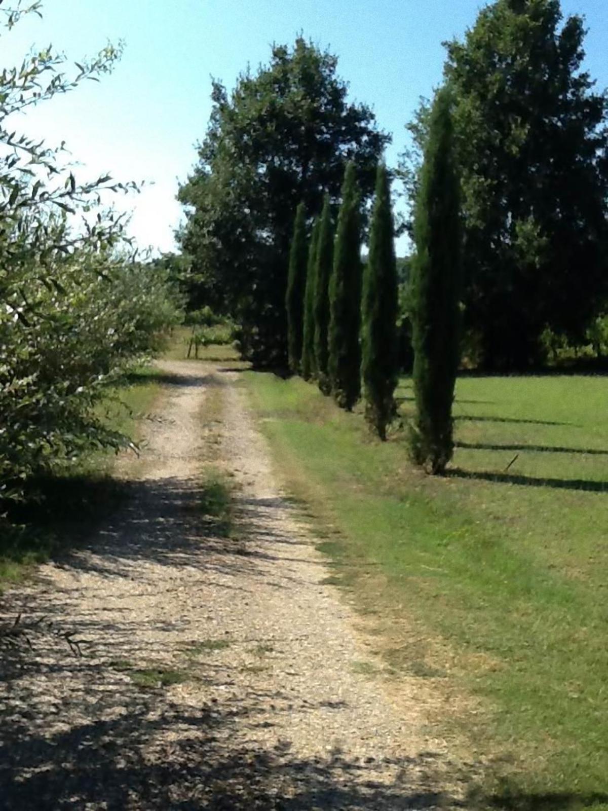 Photo 29