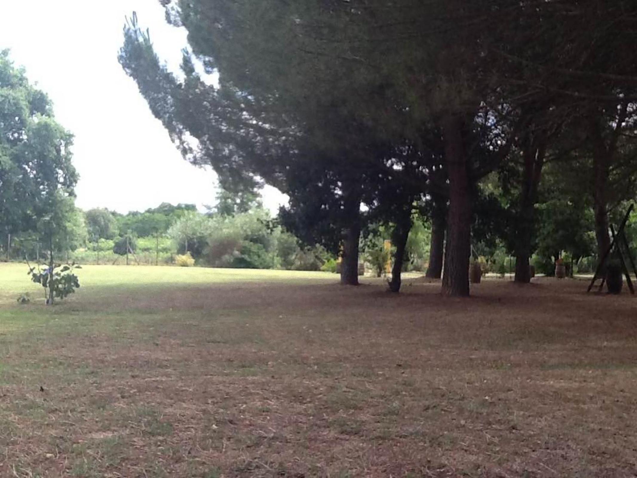 Photo 38