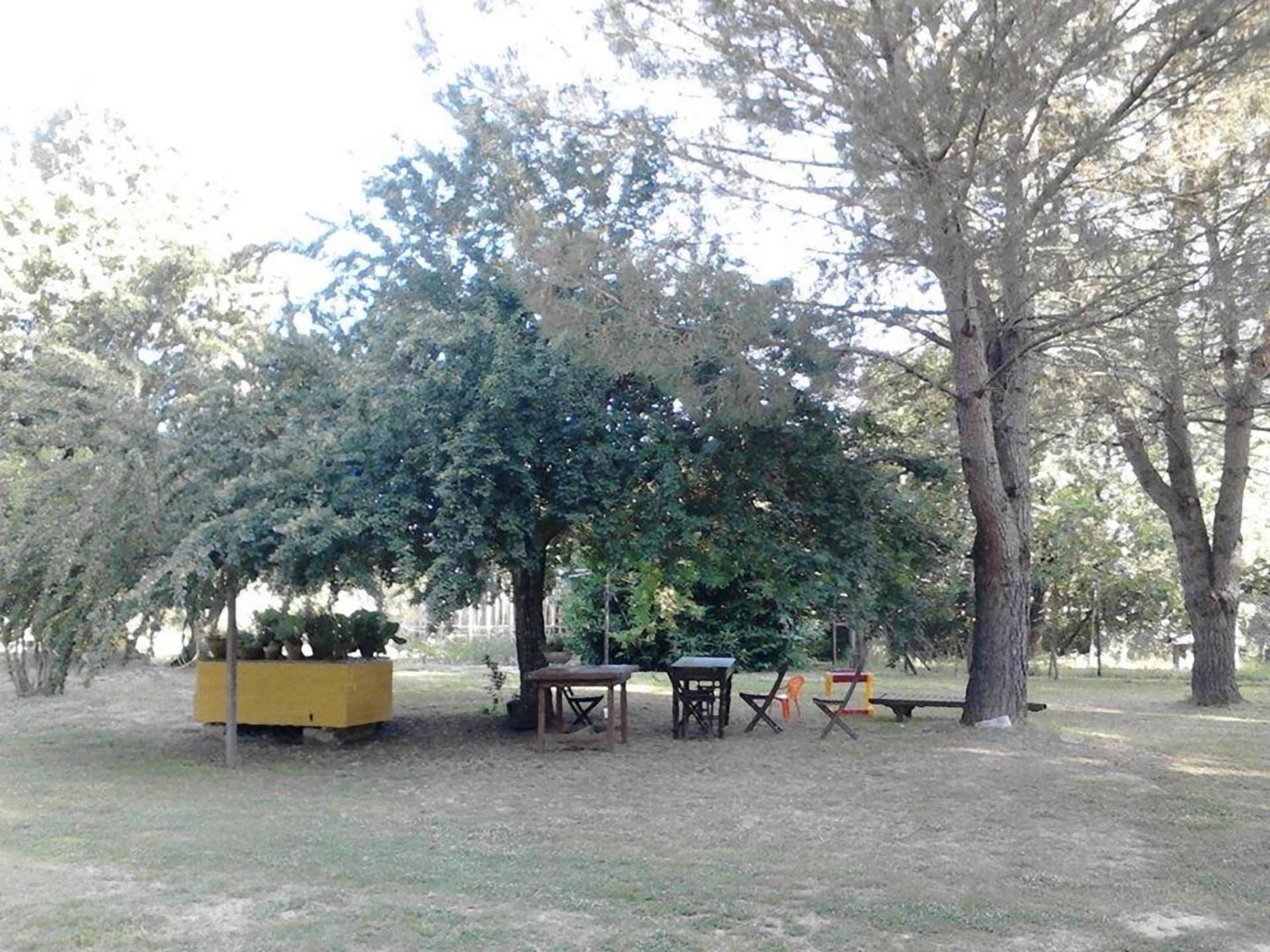 Photo 41