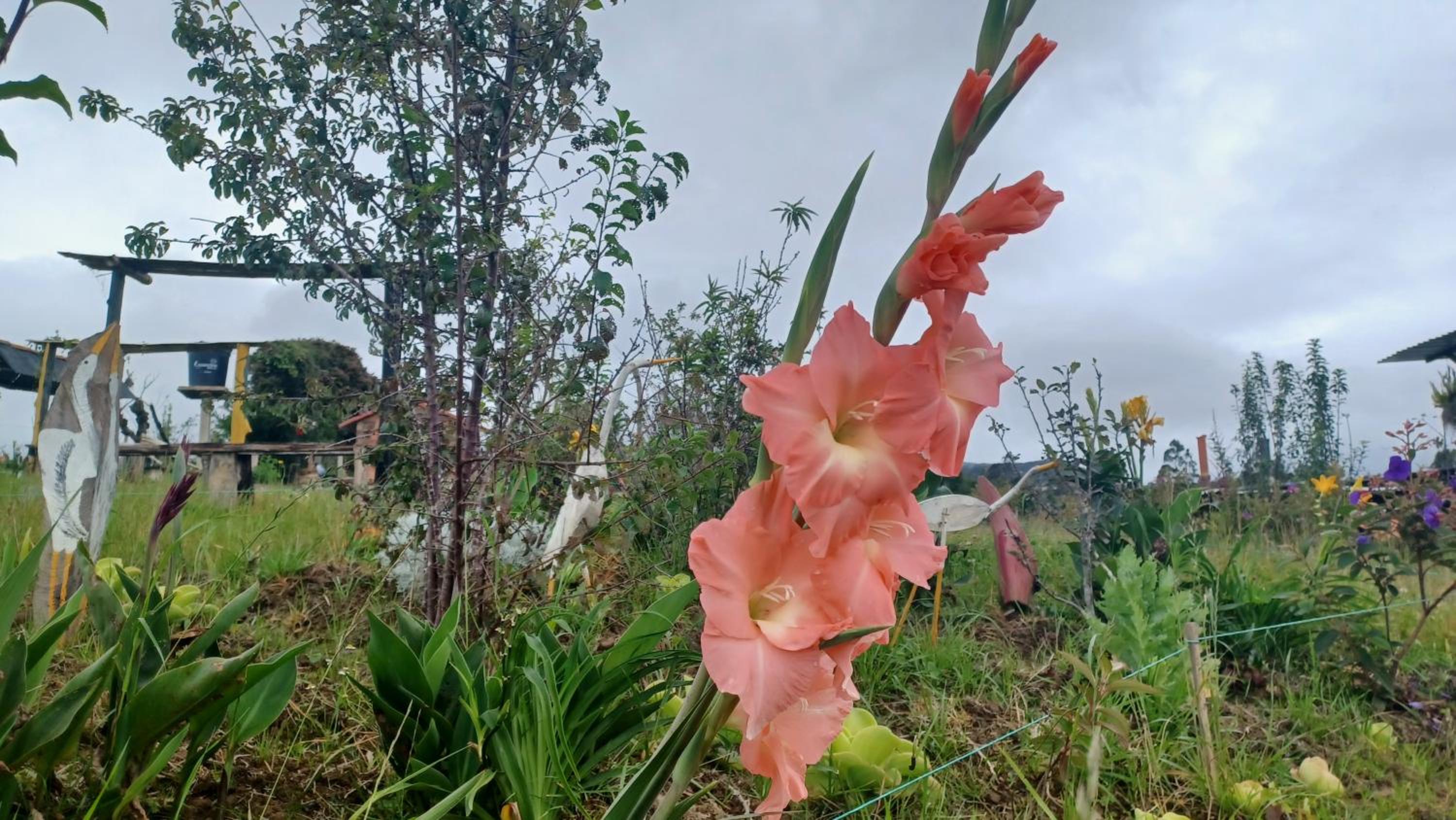Finca Renacer